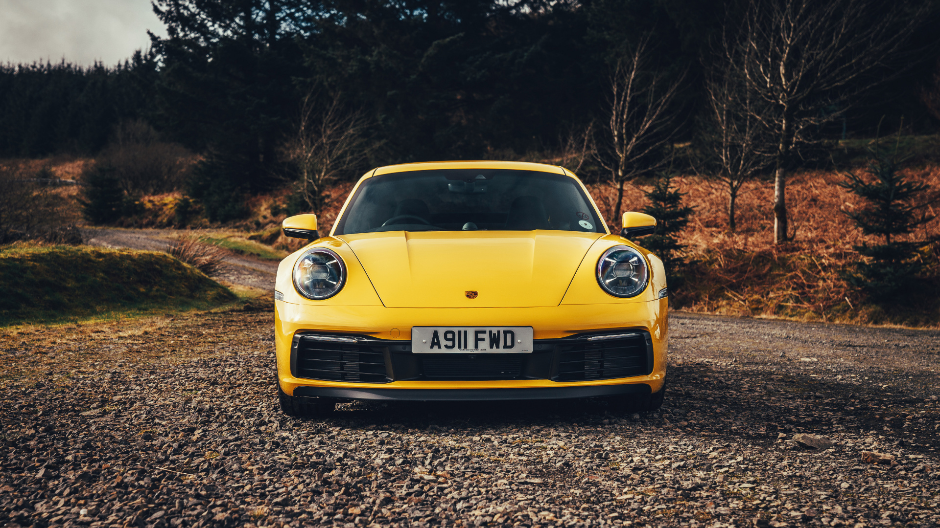 Картина порше 911