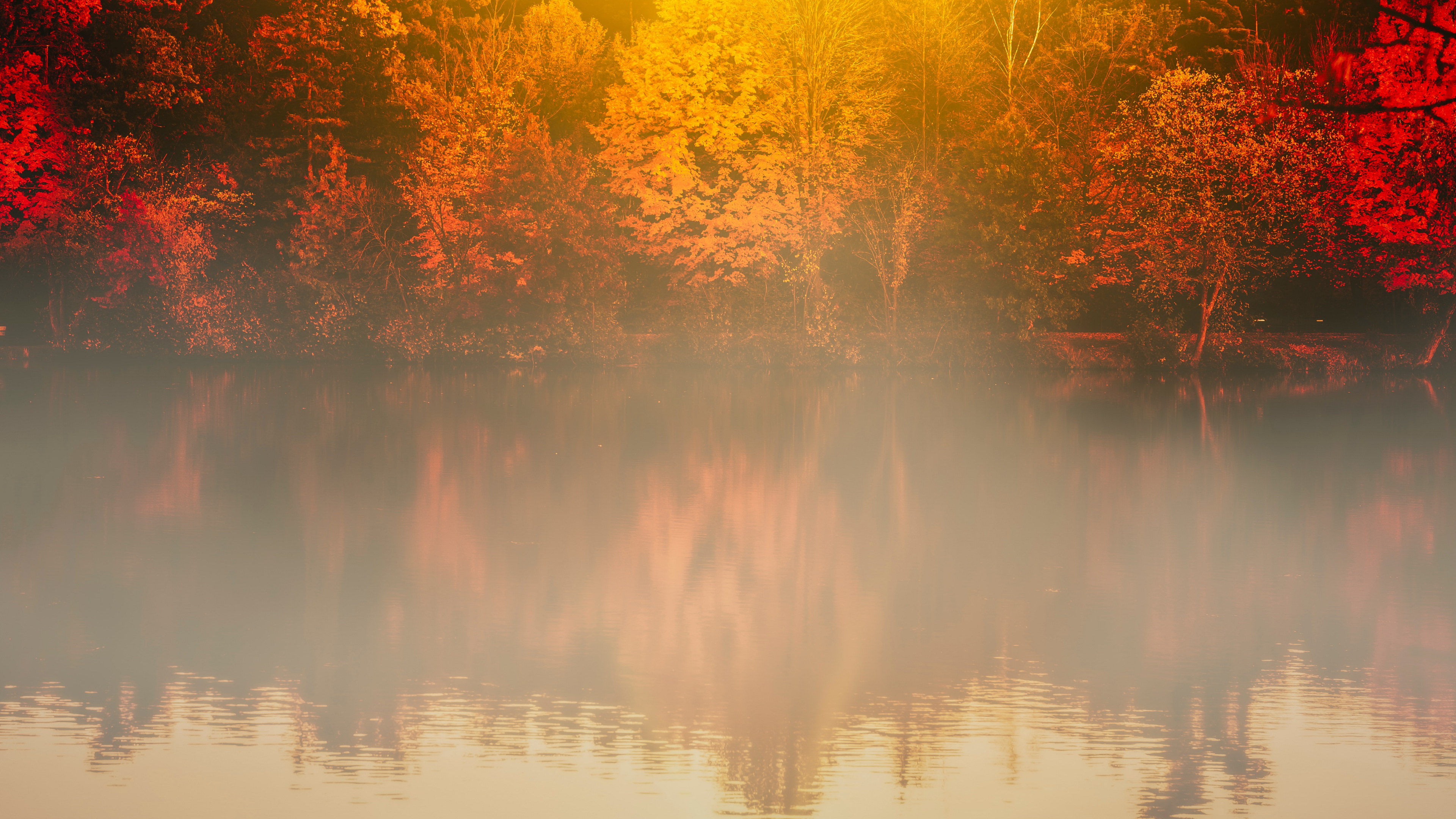 Reflection 4