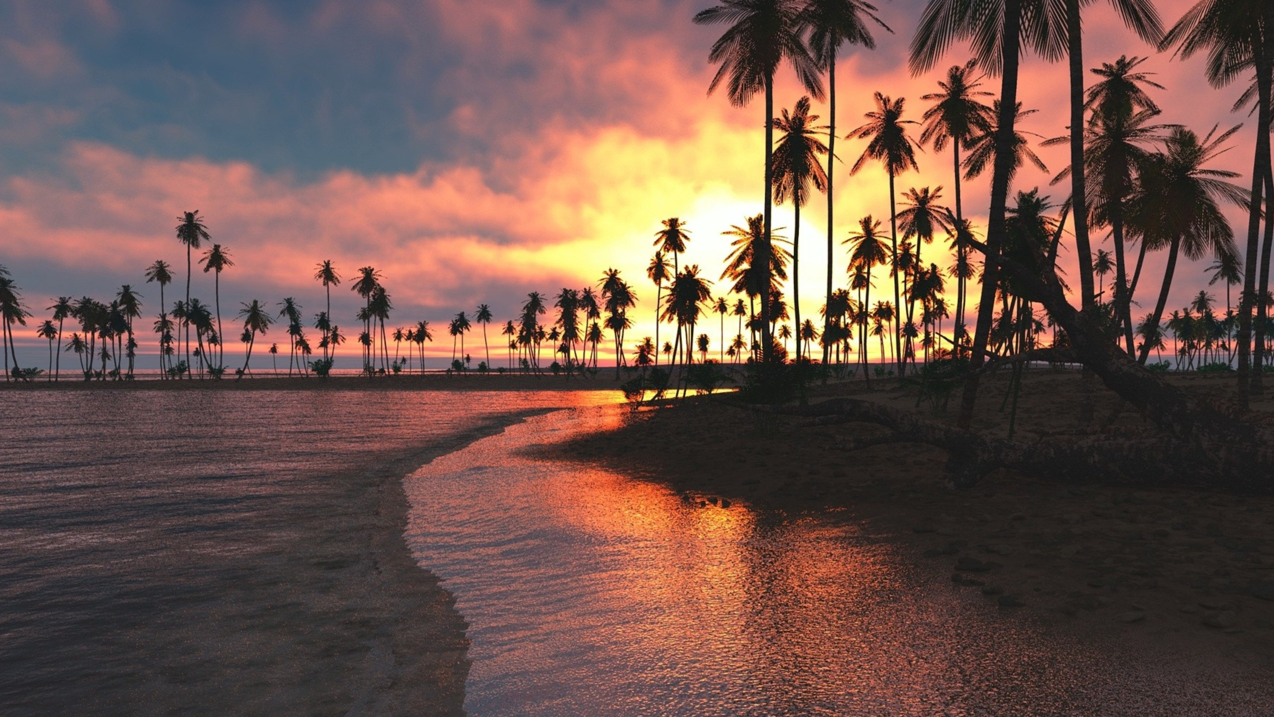 Пляж пальмы закат