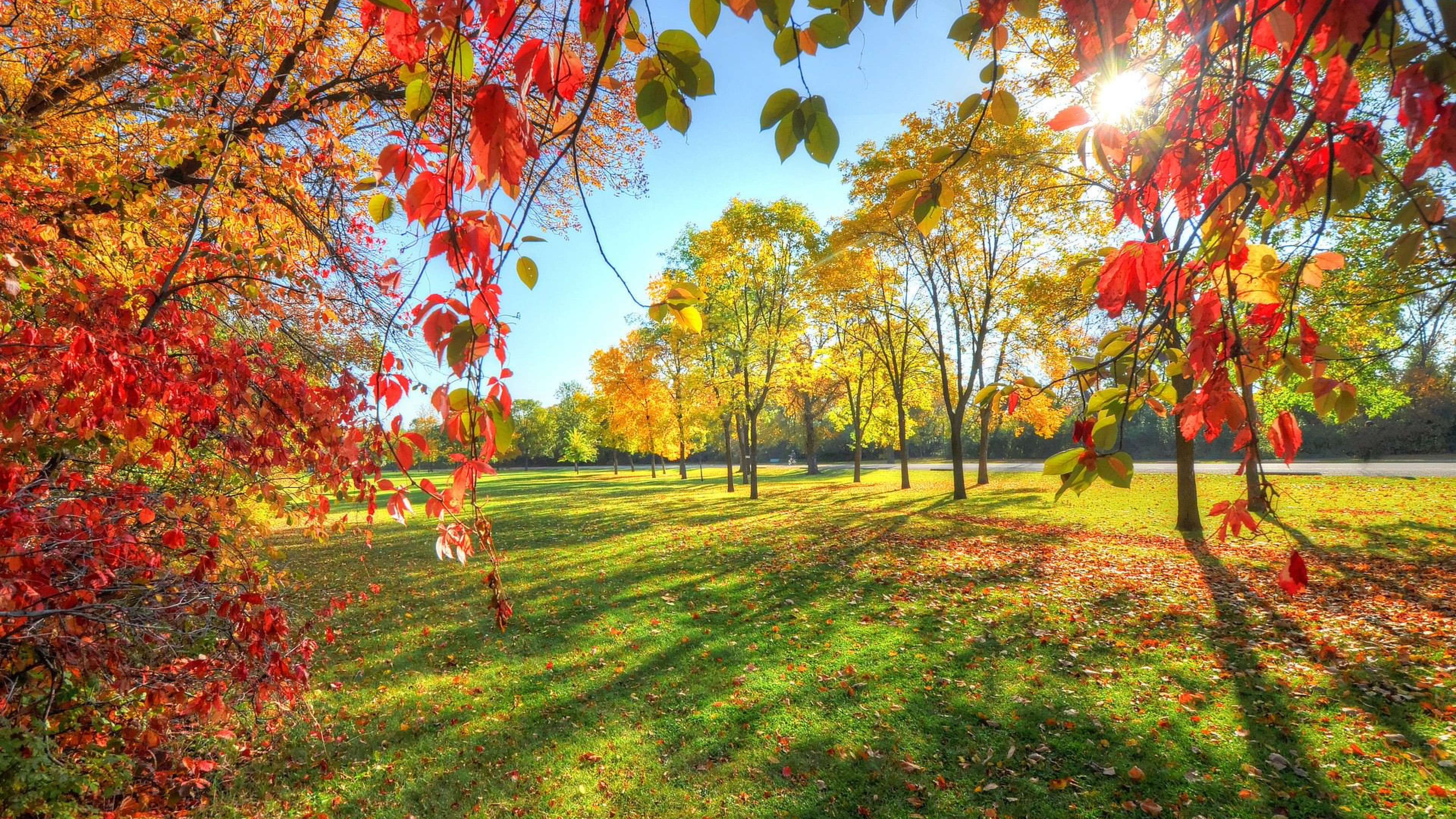 Сайты куз. Осенний парк. Ранняя осень. Осенняя природа. Красивая осень.