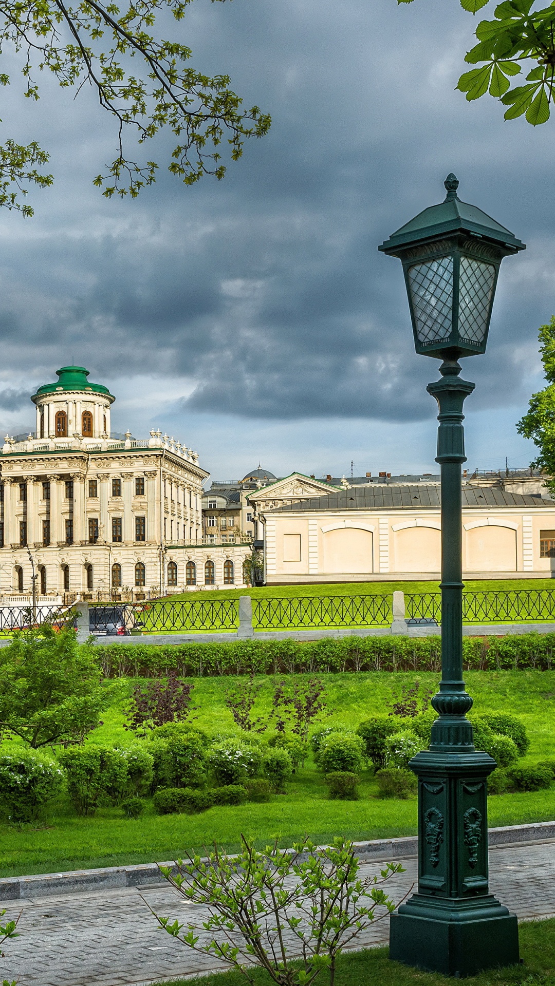 Зелено спб. Зеленый Петербург. Зеленые деревья Санкт Петербург. Питер зеленый город. Вертикальные зеленый Петербург.