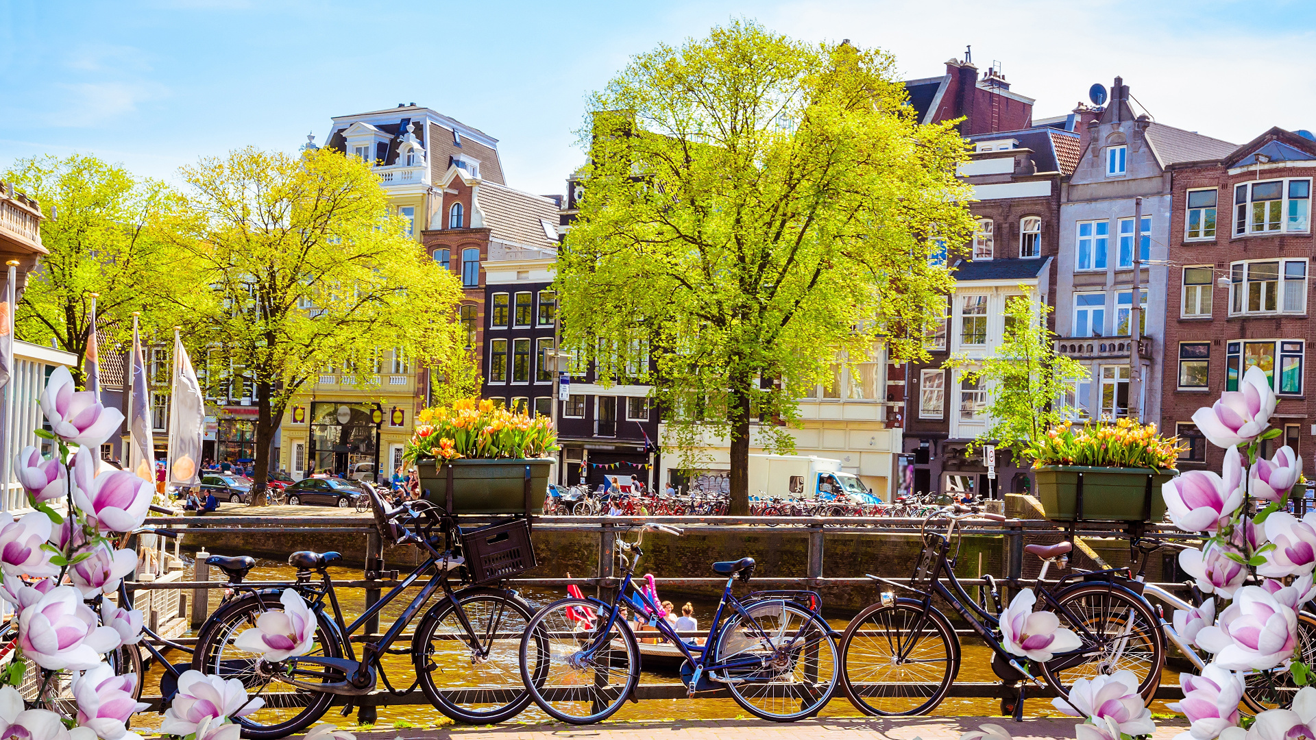 Амстердам улицы парк