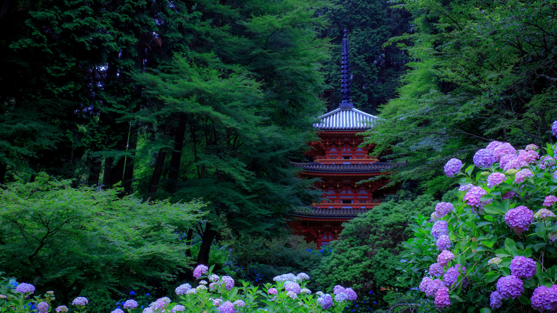 Обои 1920x1080 Япония, сад, японский сад, дерево, природа, Full HD, HDTV, 1...