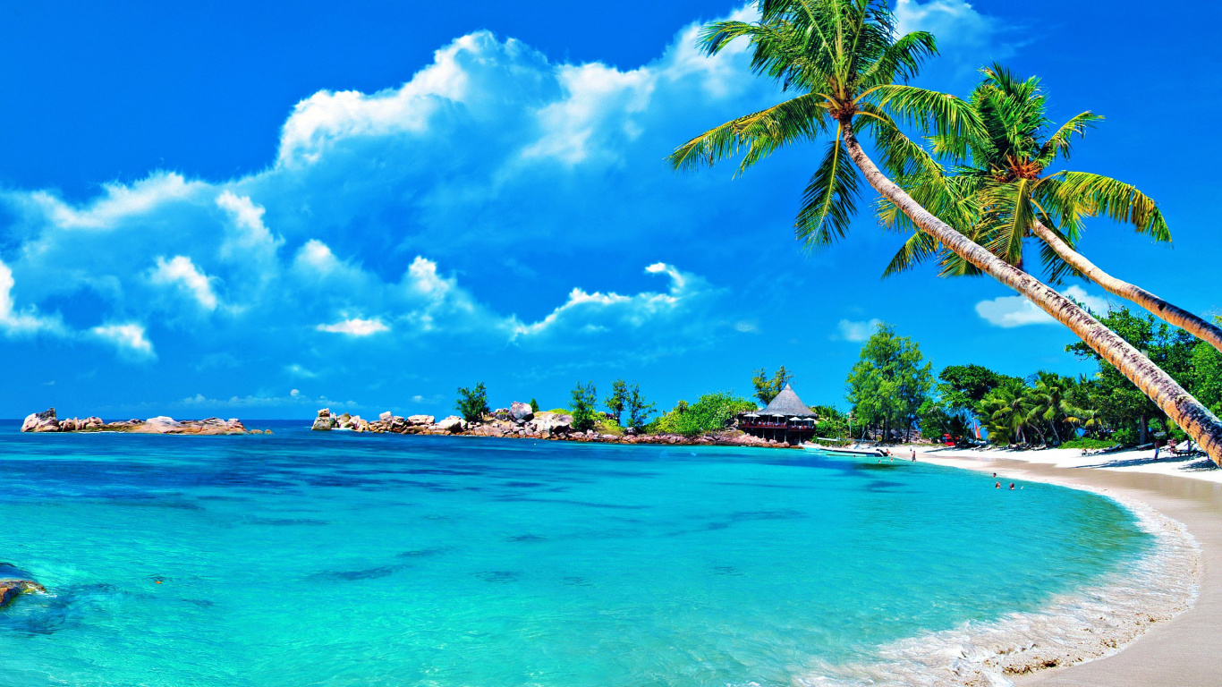 Обои 1366x768 тропическая зона, Карибский бассейн, море, пляж, прибрежные и...