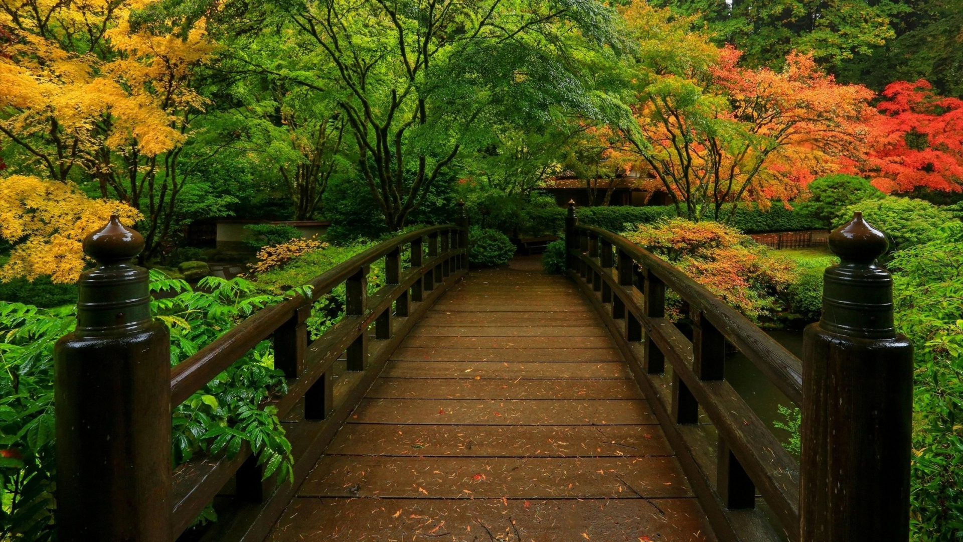 Обои 1920x1080 сад, японский сад, природа, дерево, лист, Full HD, HDTV, 108...