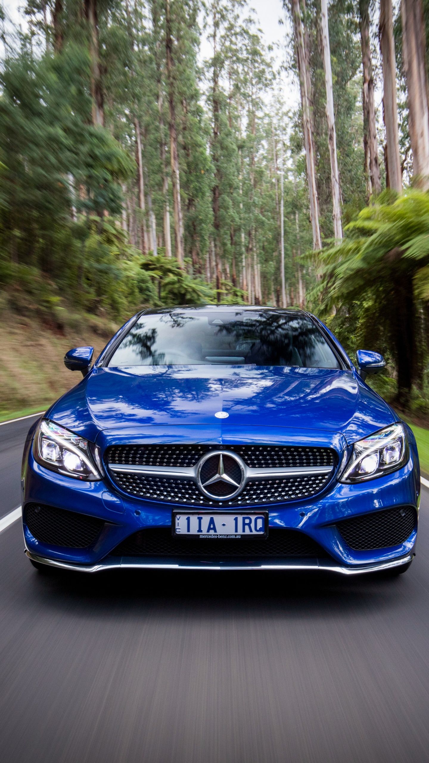 Mercedes Merin