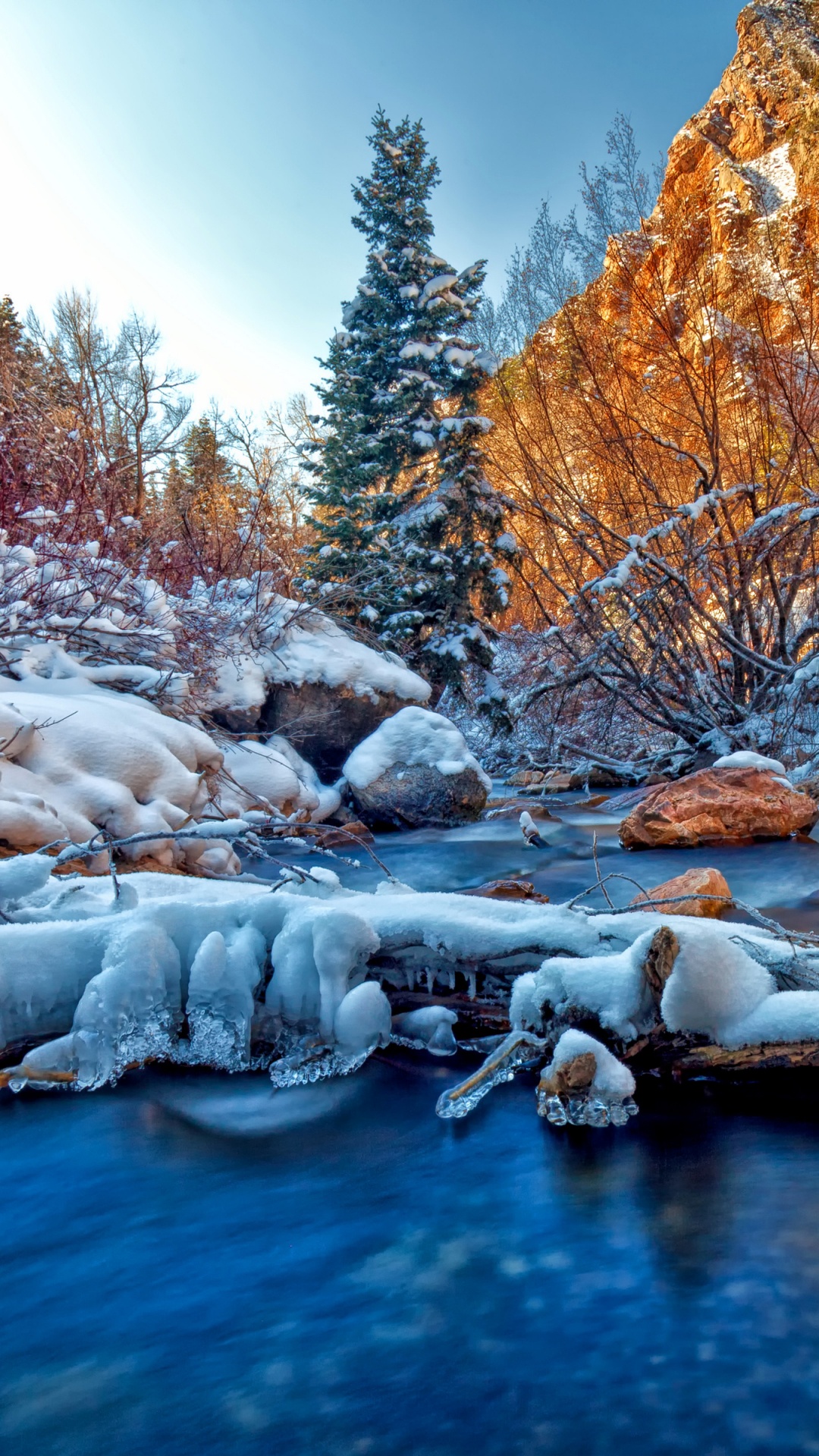 зима фото красивые природа на телефон