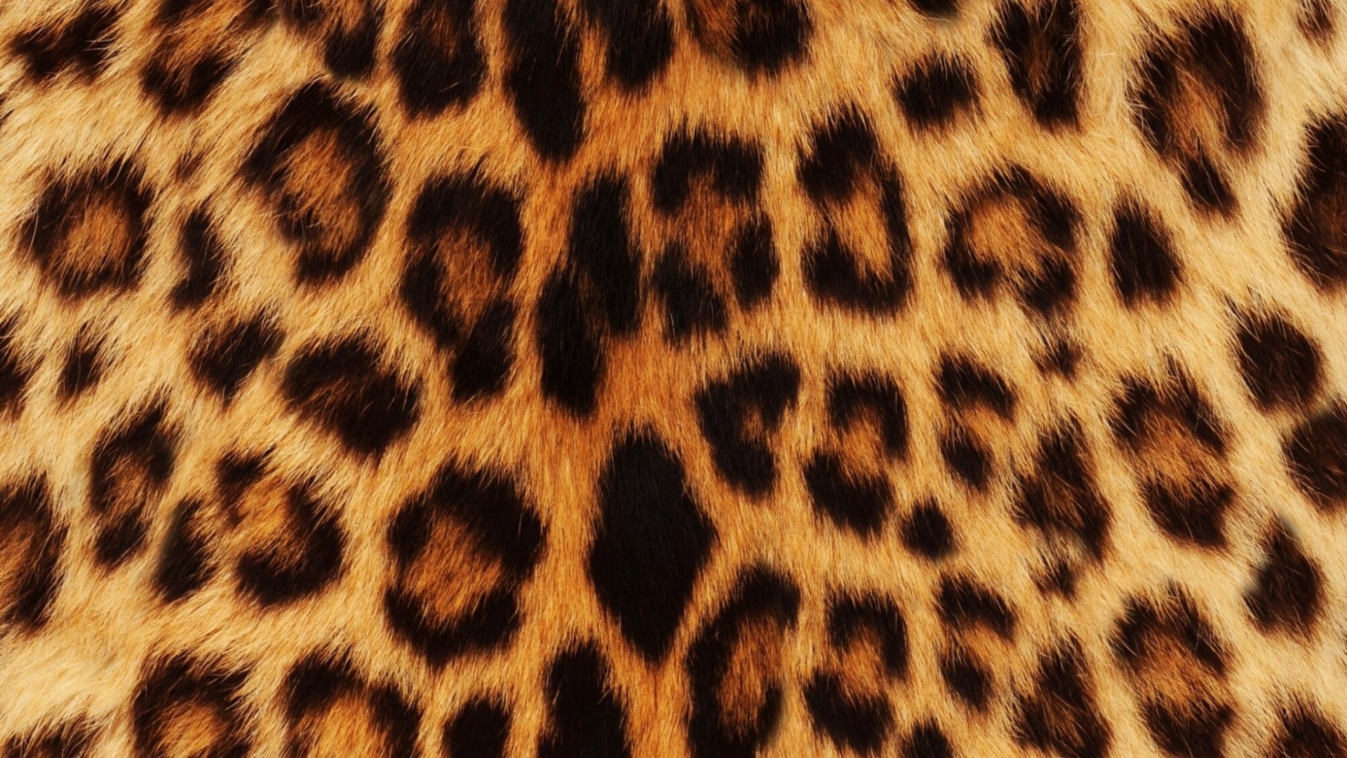 Леопард фон