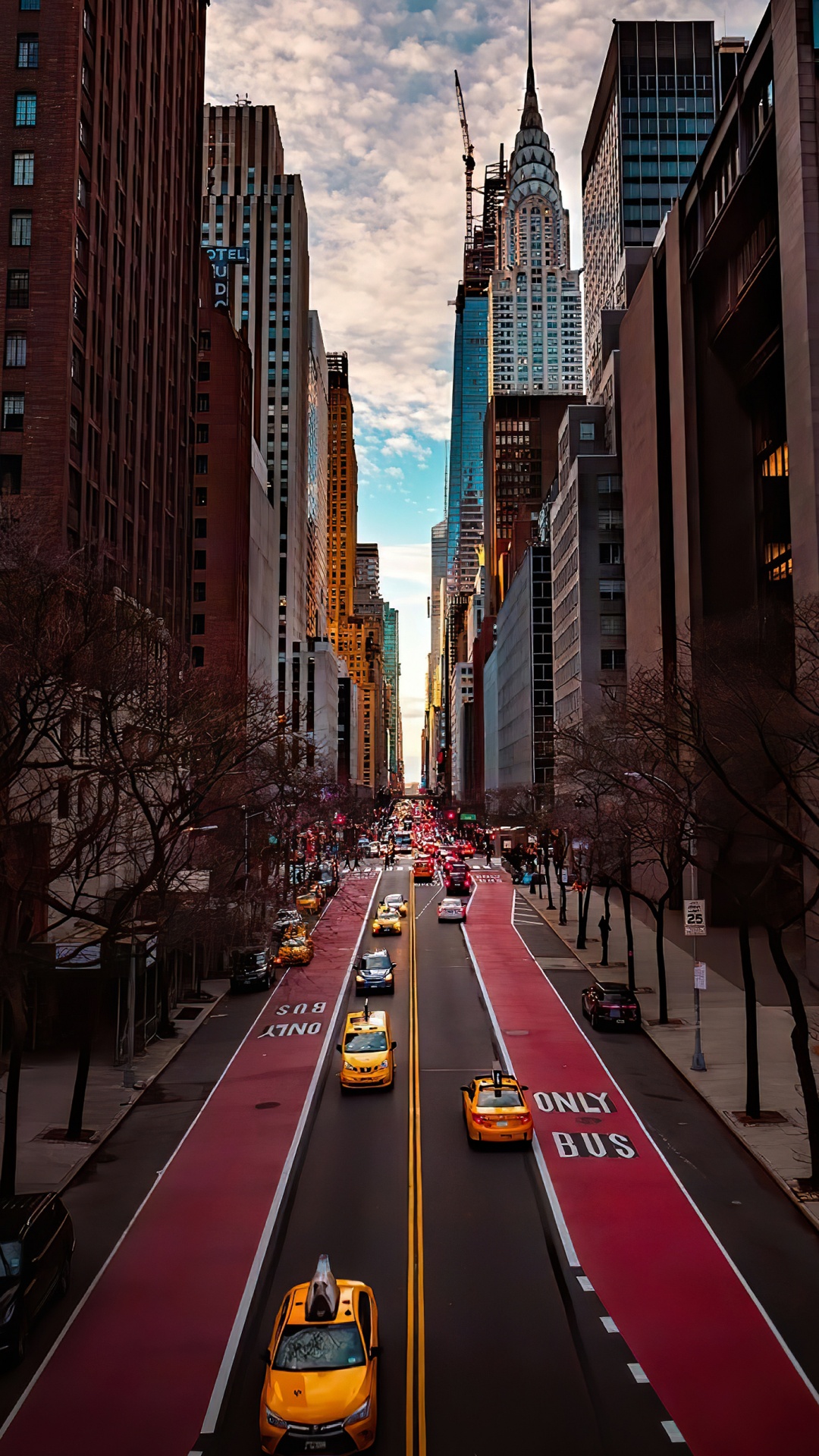 Ts Sierra Nyc