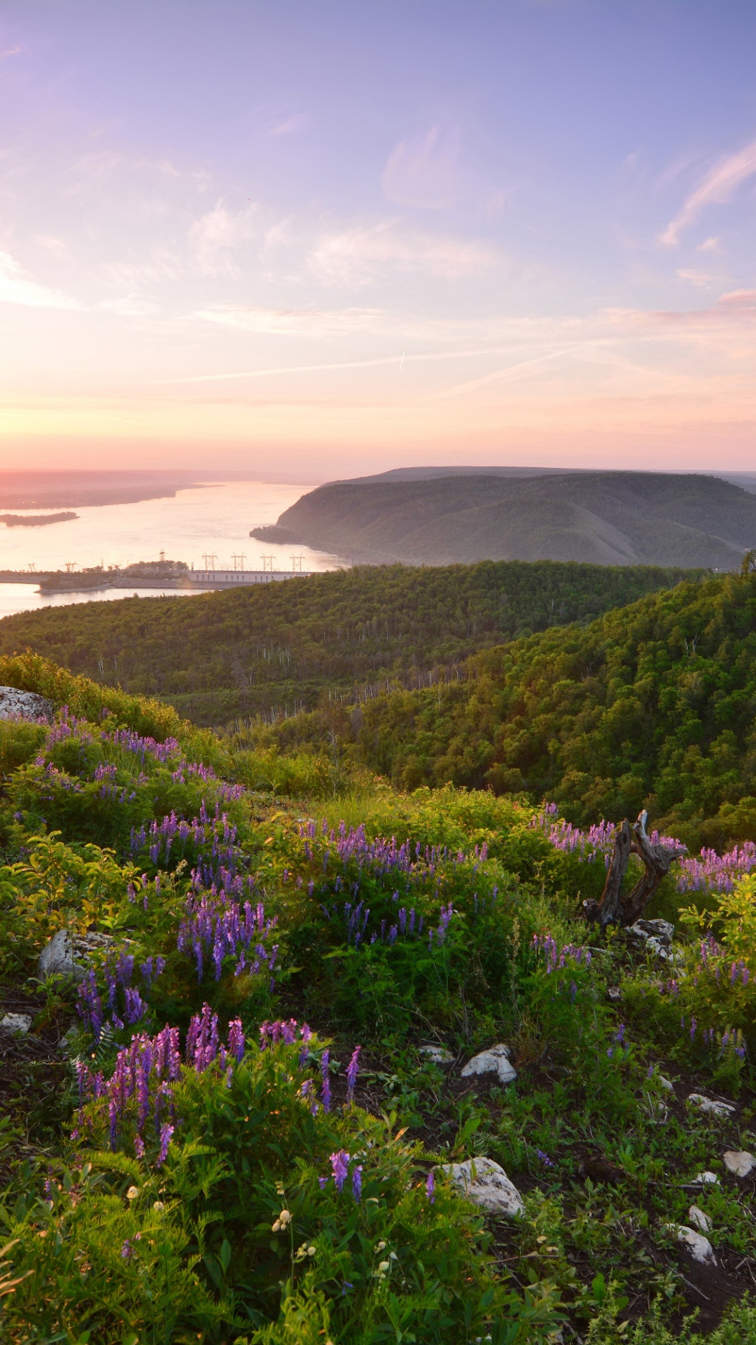 Парк Самарская Лука Фото