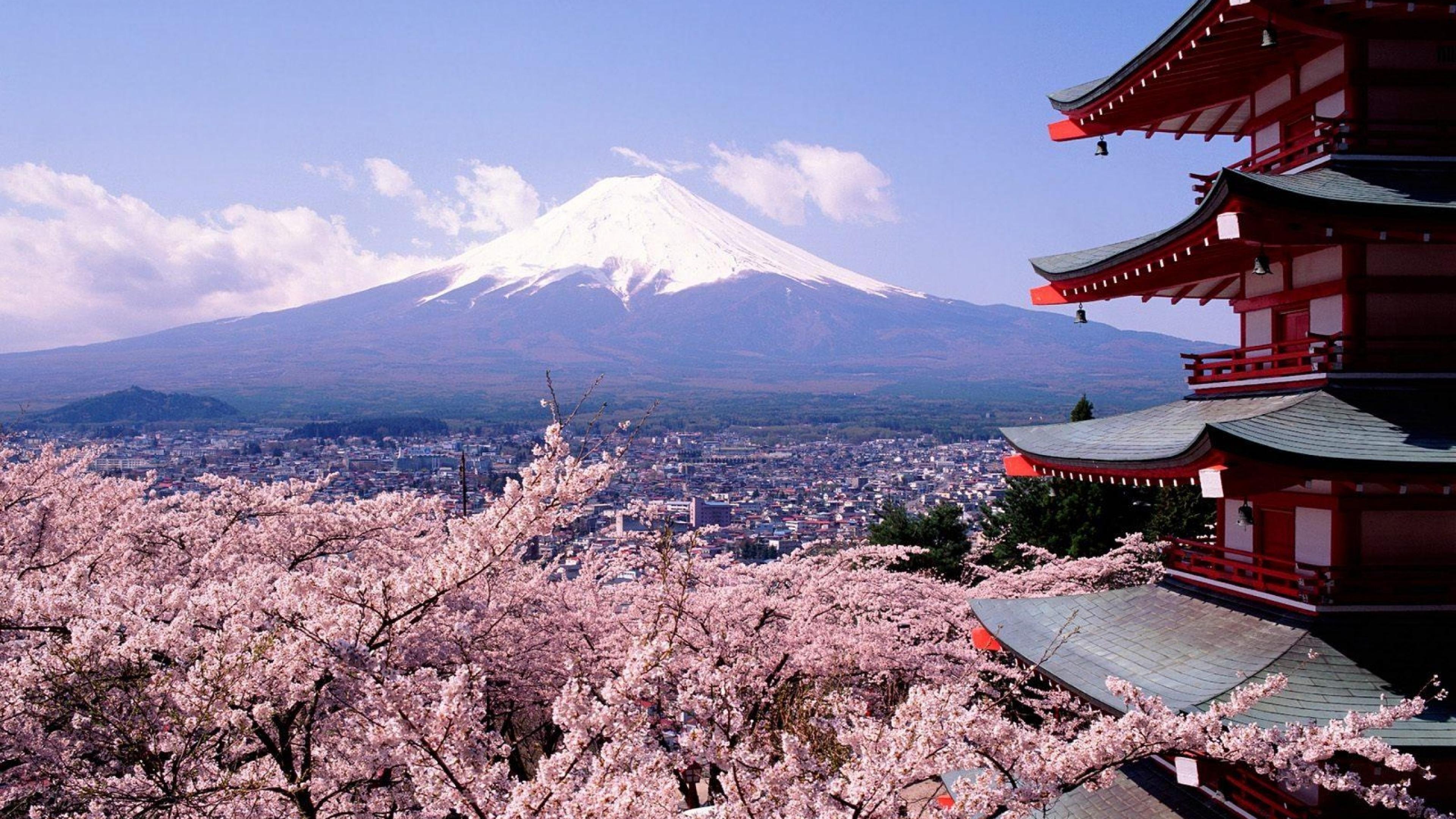 Красивая корея видео. Токио гора Фудзияма. Токио Сакура Фудзияма. Япония гора Фудзияма и Сакура. Киото цветение Сакуры.