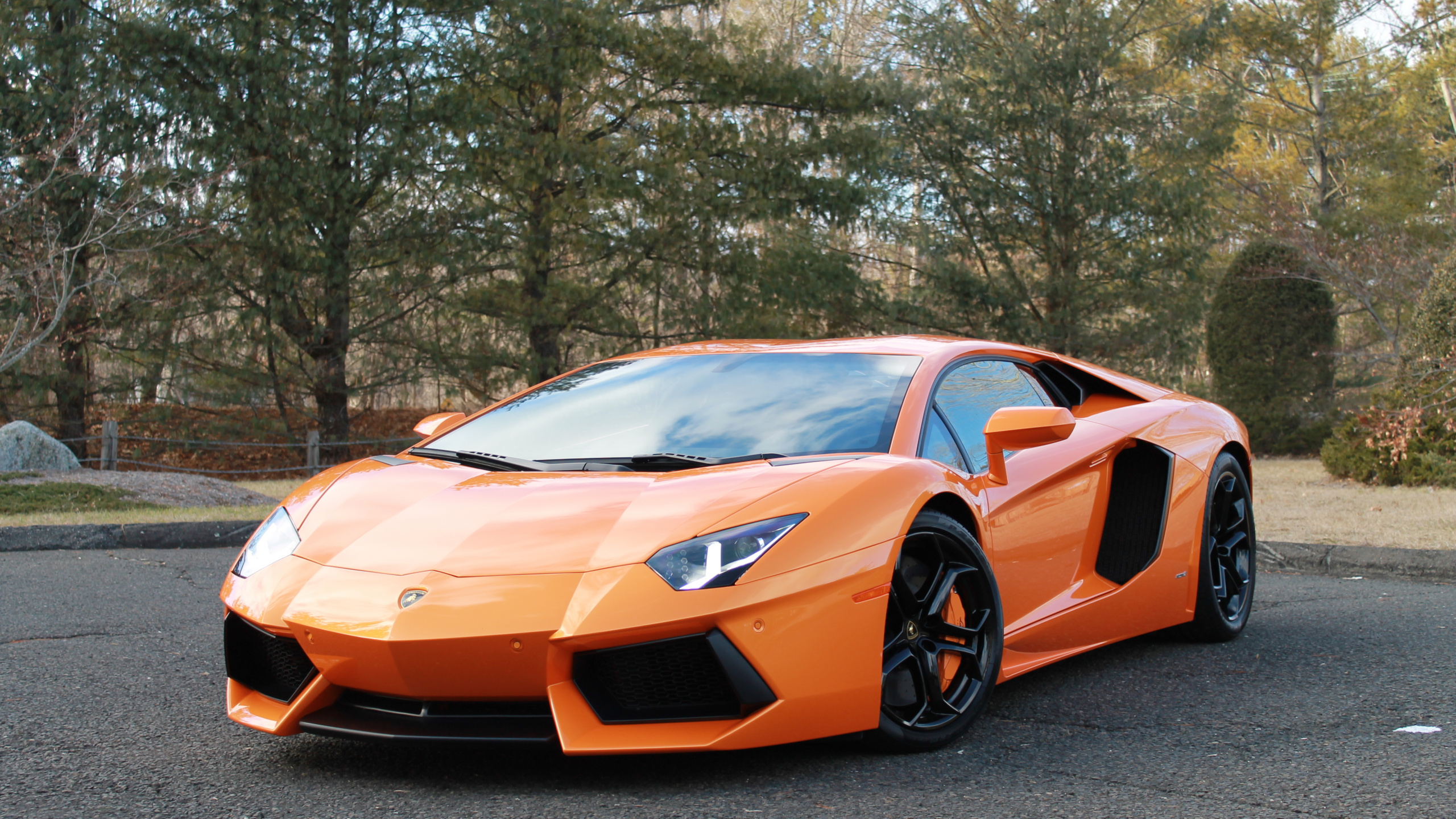 Lambo pics