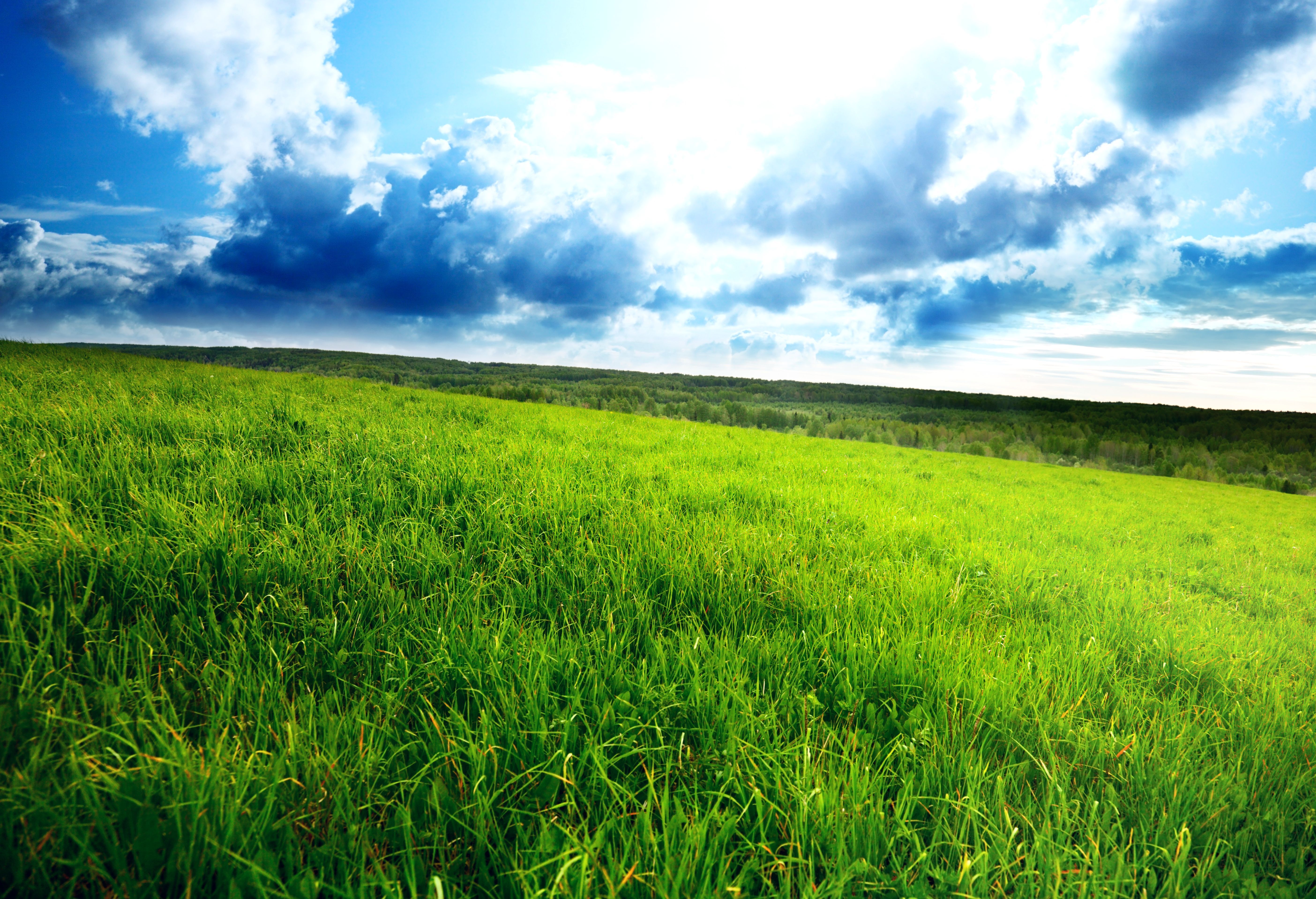 Wallpaper high hd