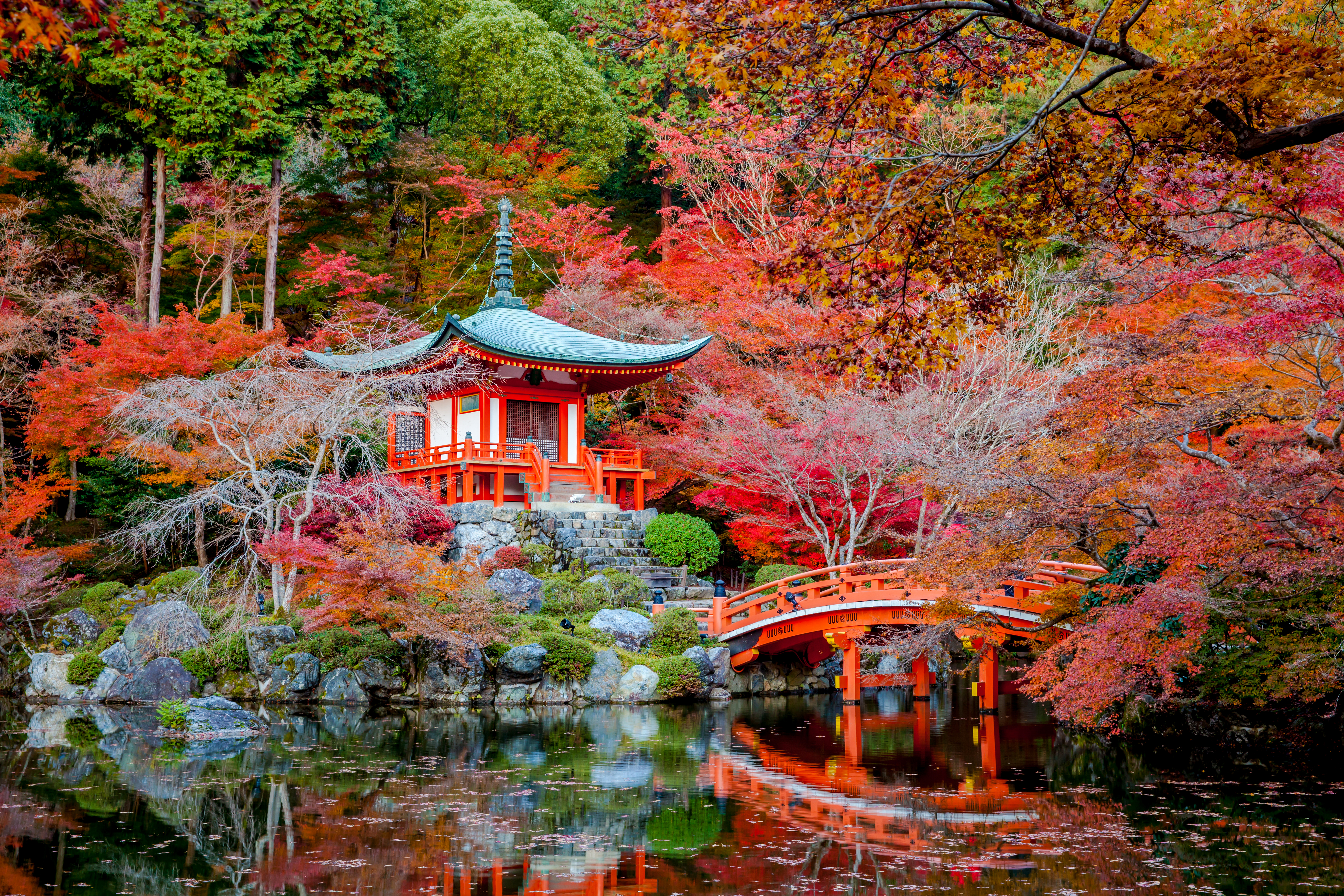 Japan Pics