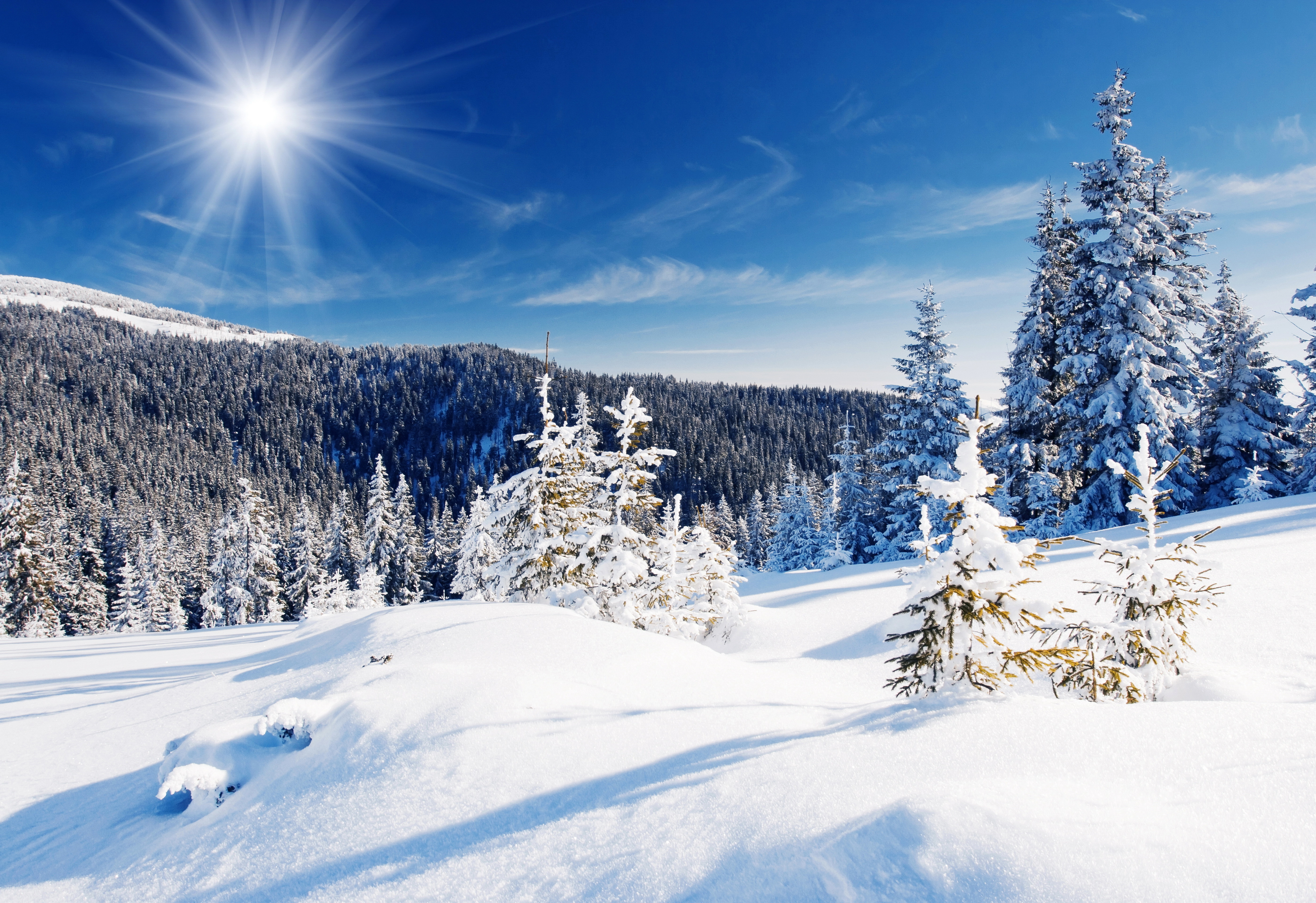 Картинка зимний период. Зимний лес. Зимний пейзаж. Красивая зима. Зимняя природа.