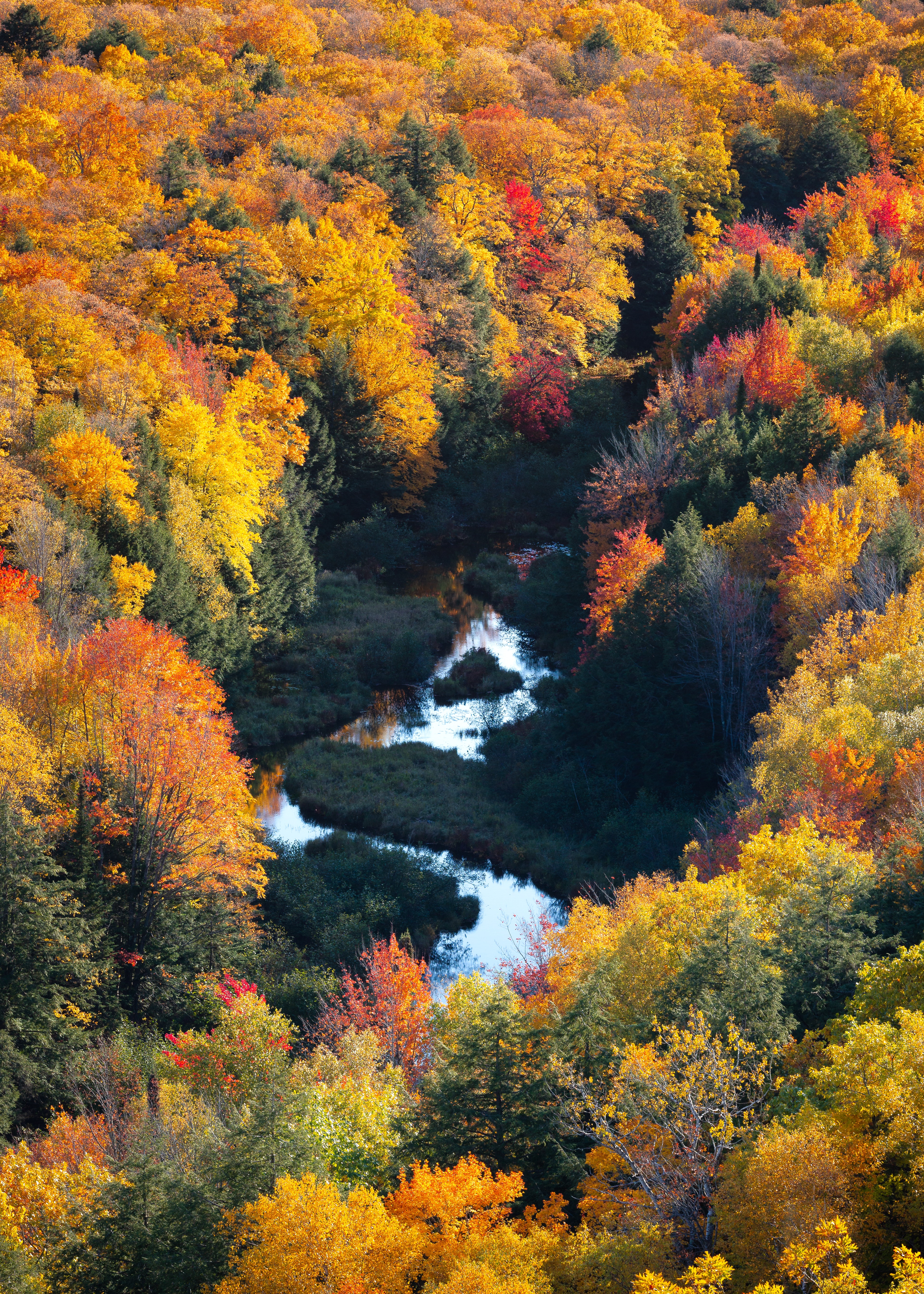 Виды осеннего леса. Осень река. Осенний лес сверху. Осенний лес вид сверху. Осенняя река.