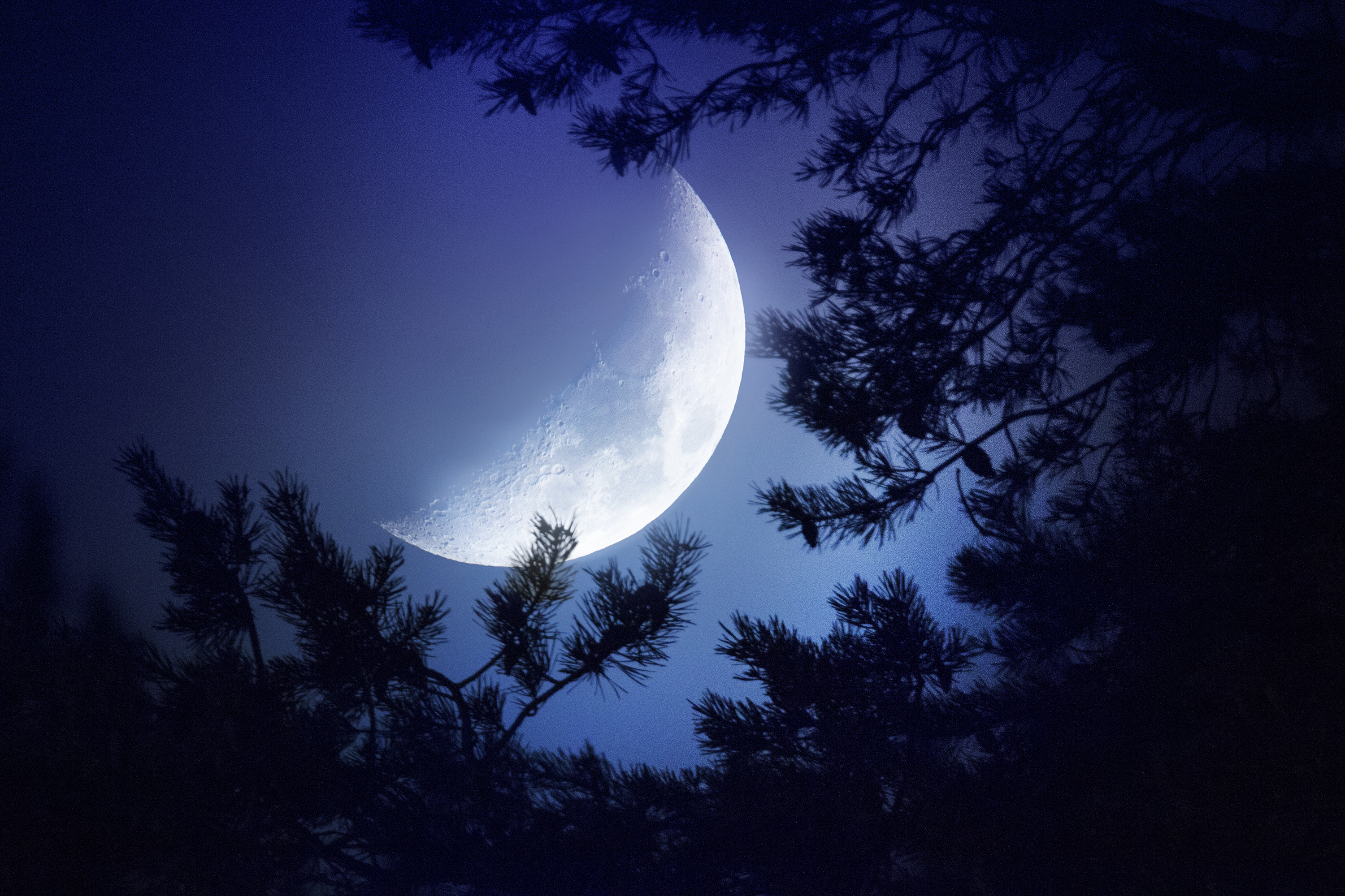 Ноч. Ночь Луна. Красивая Луна. Красивая ночь. Ночная природа.