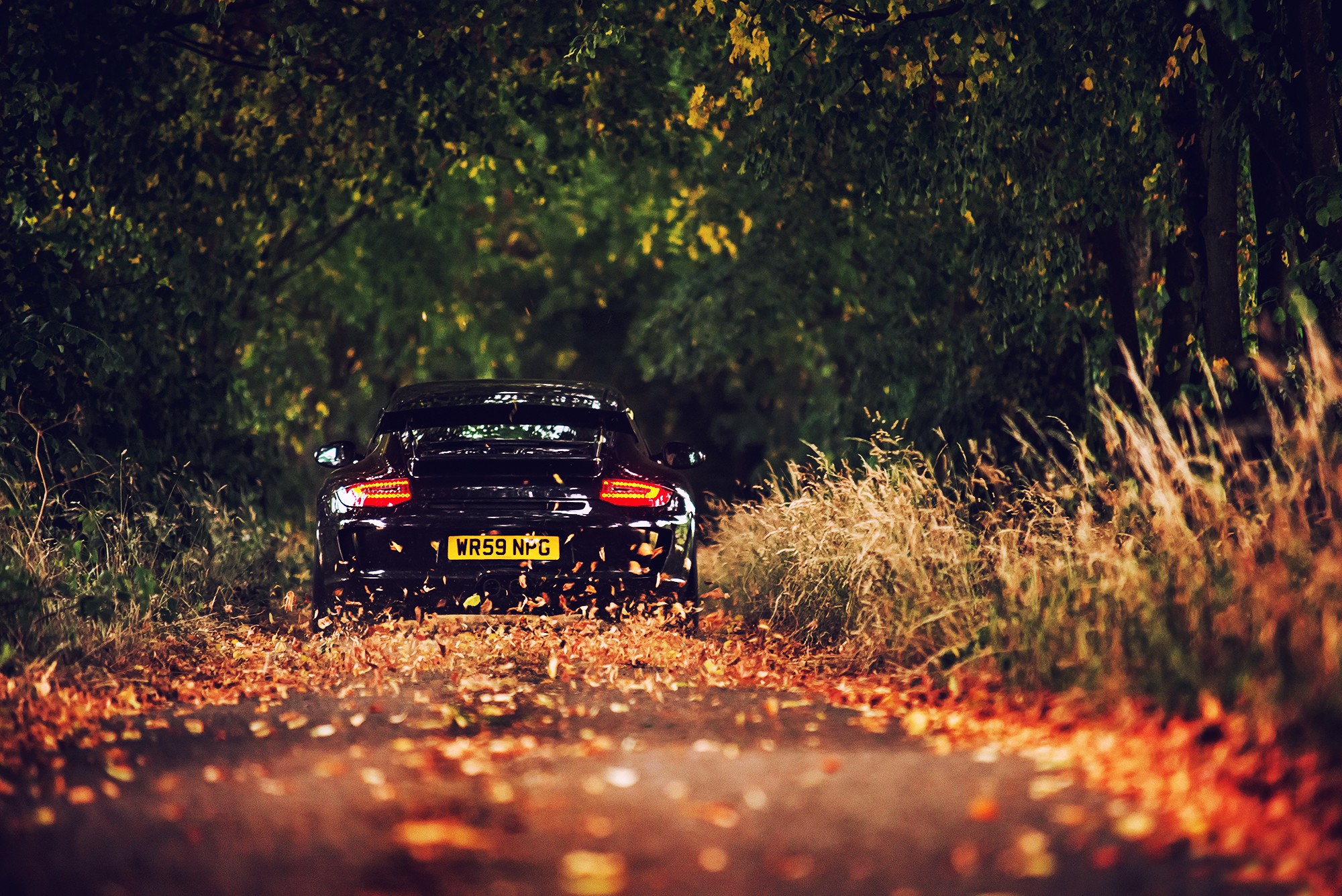 Porsche 911 осень
