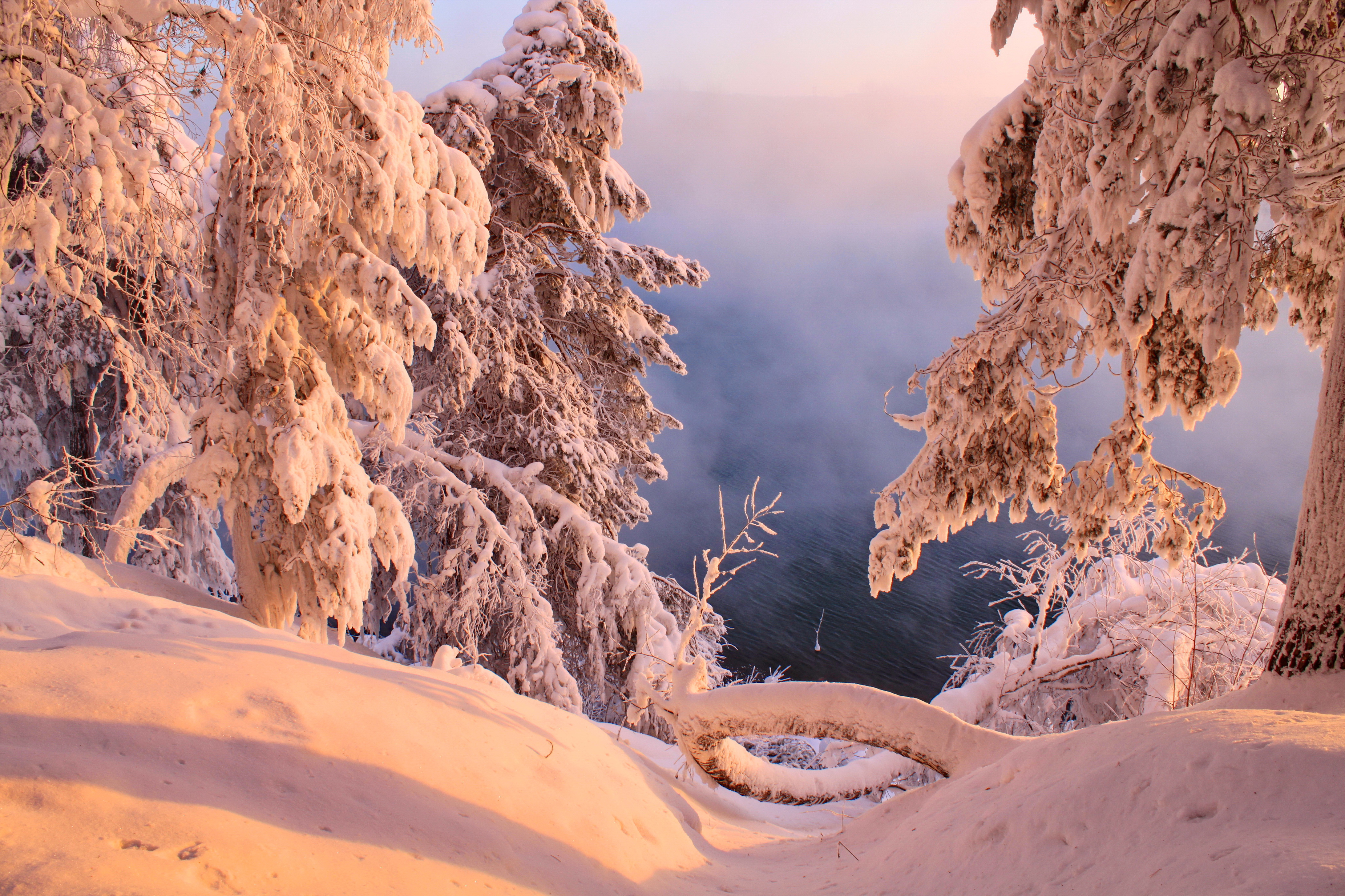 Звуки природы зимой. Зимняя природа. Красивая зима. Зима пейзаж. Красивые пейзажи зимы.