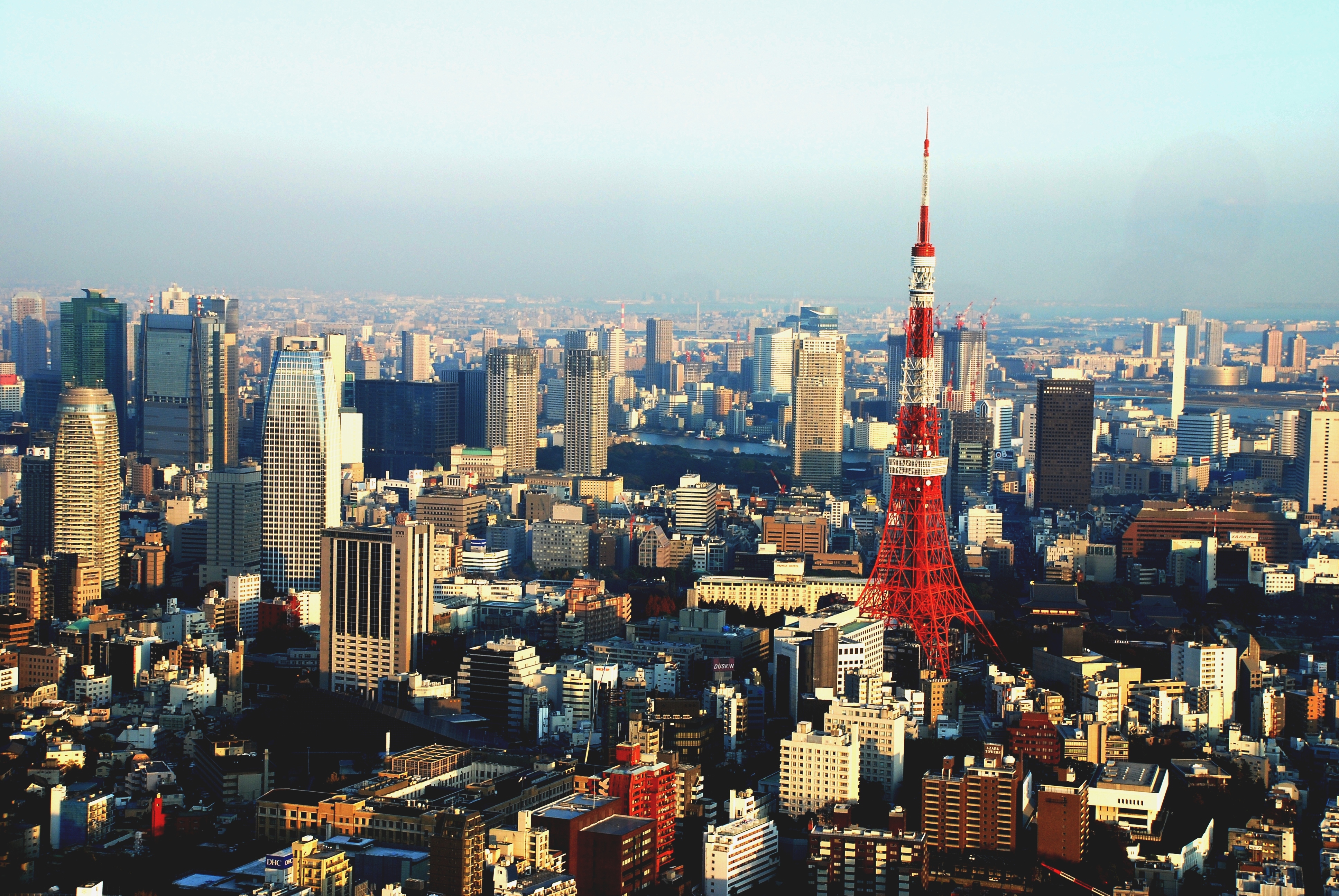 Япония крупнейший в мире. Токио столица. Япония Токио. Город Токио Токийская башня. Япония Мегаполис Токийская башня.