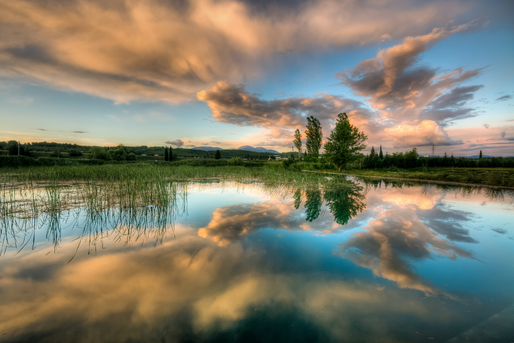 Тихая природа