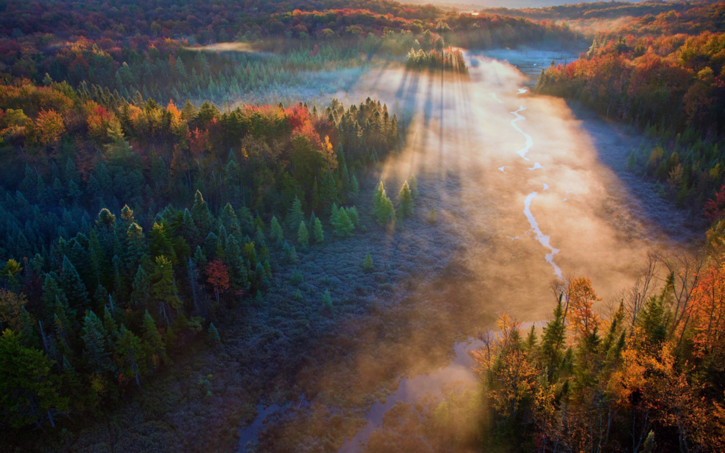 Национальный лес зеленая гора (Вермонт)