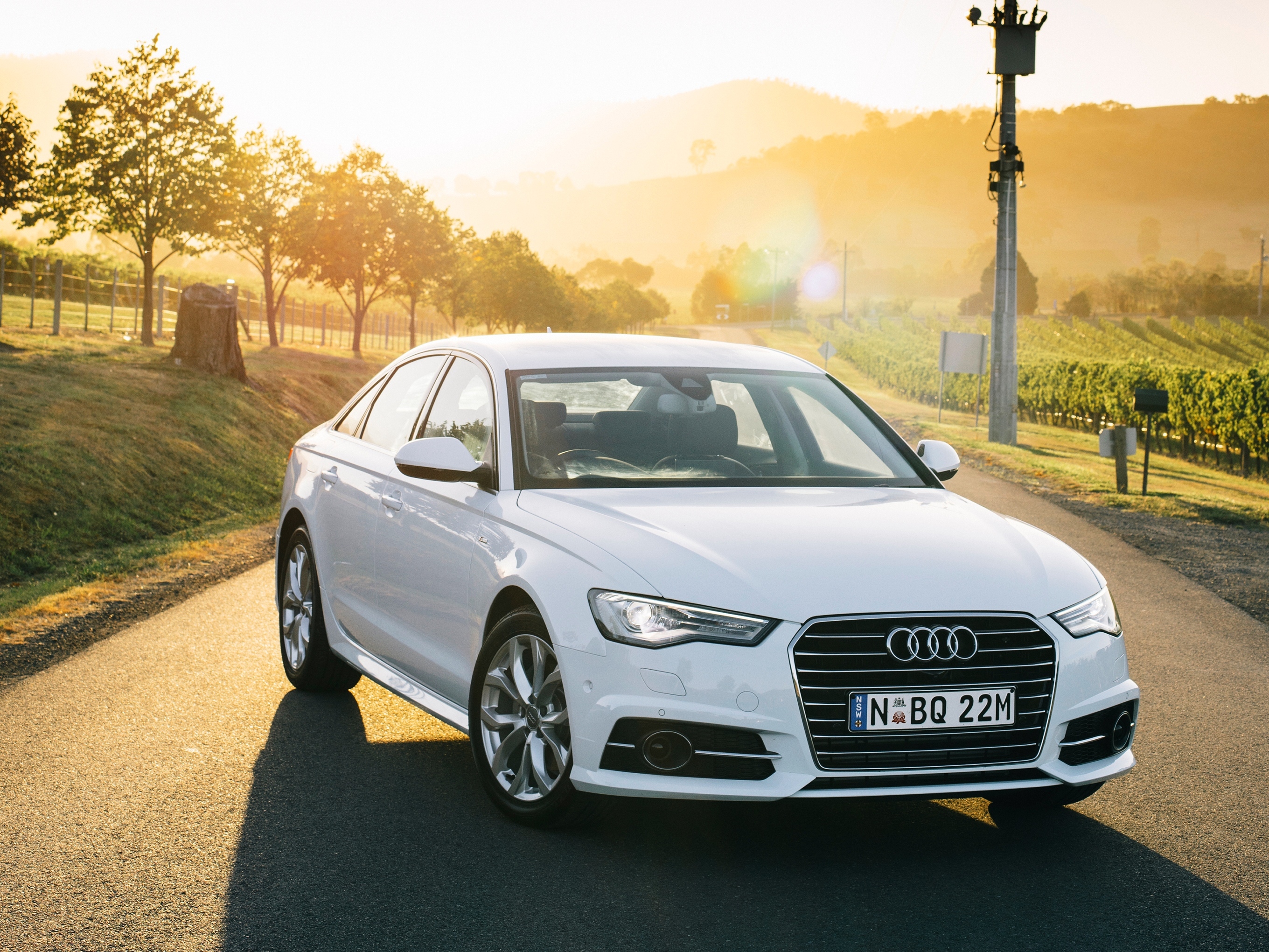 Ауди а6 отзывы владельцев. Audi a6 2015. Ауди а6 2015 белая. Audi a6 белая. Ауди кватро 2015 седан.