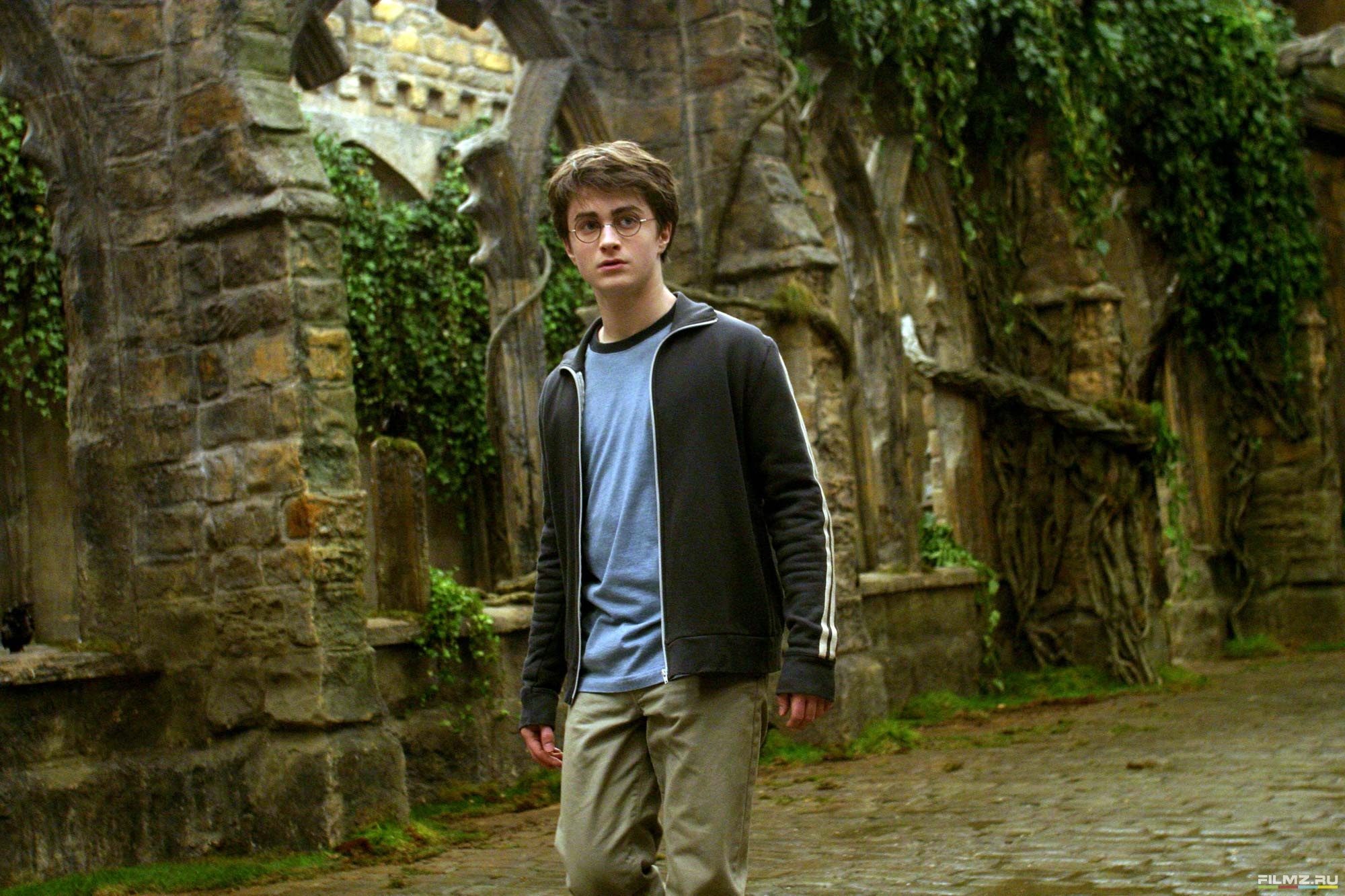 Garri potter. Daniel Radcliffe Harry Potter.