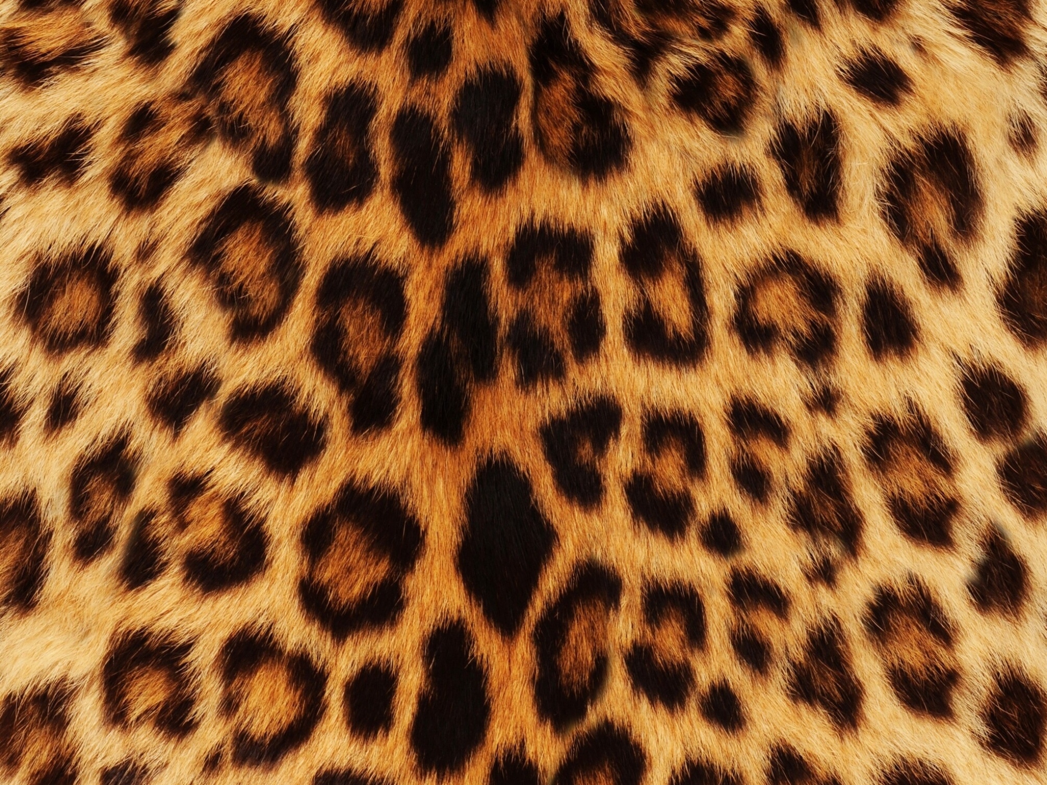 Леопардовая ткань текстура