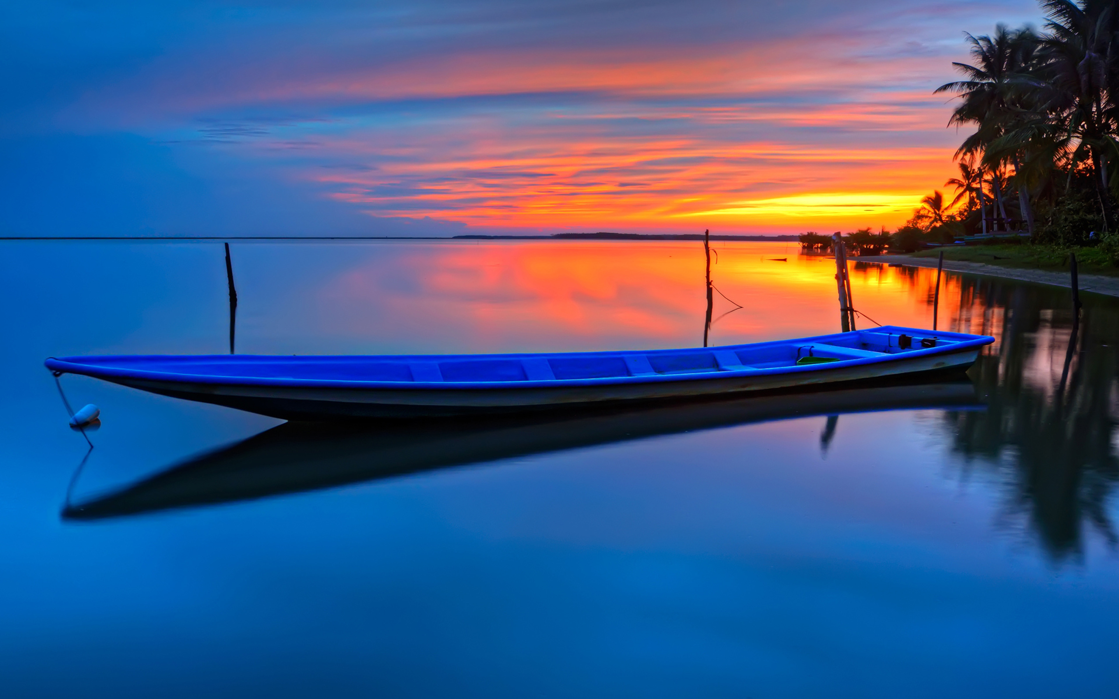 Boat. Лодка в океане. Лодка на воде. Лодка на пляже и пальмы. Заставка лодка.