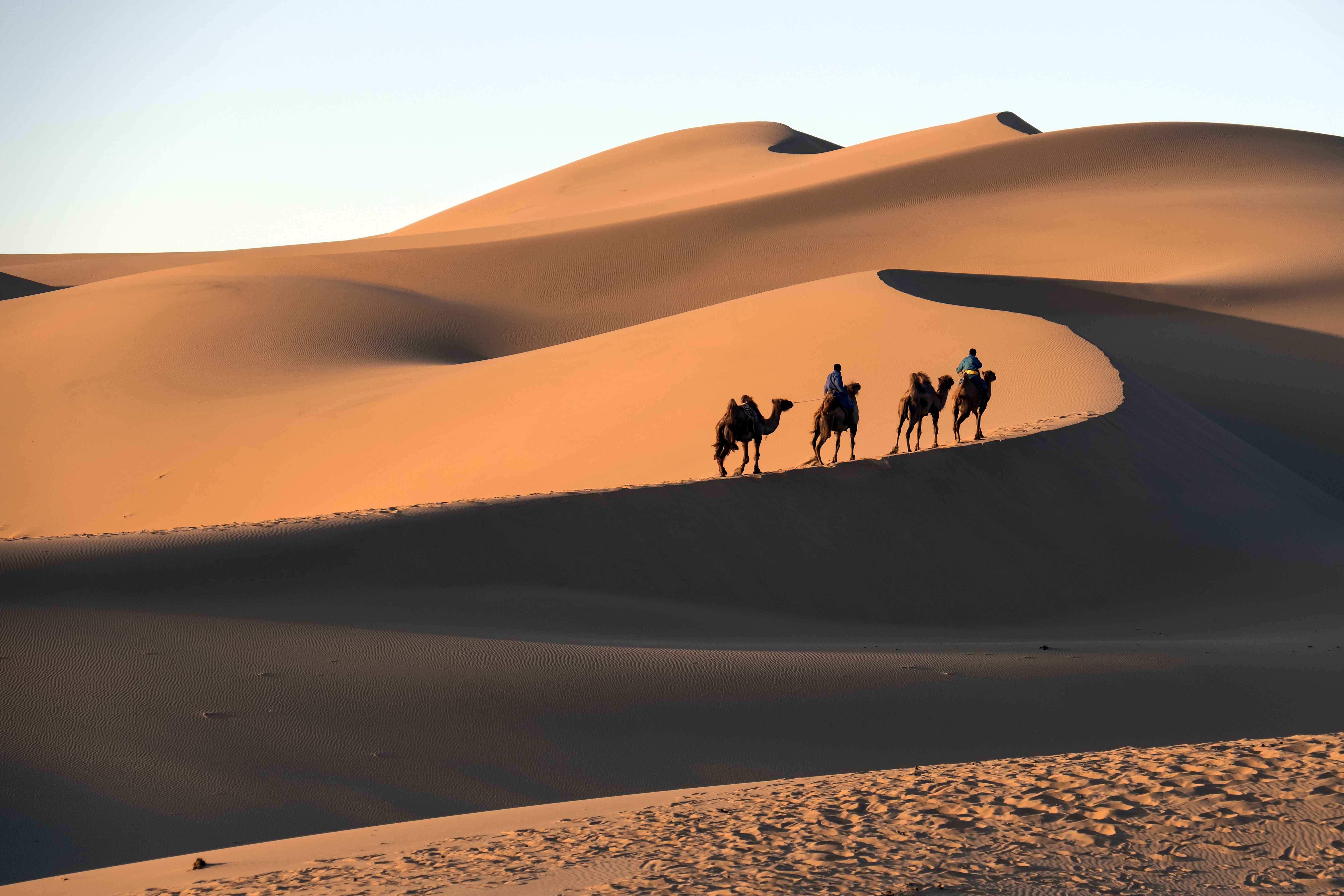 Gobi desert. Монголия Гоби. Пустыня Гоби. Монгольская пустыня Гоби. Монголия пустыня Гоби 2023.