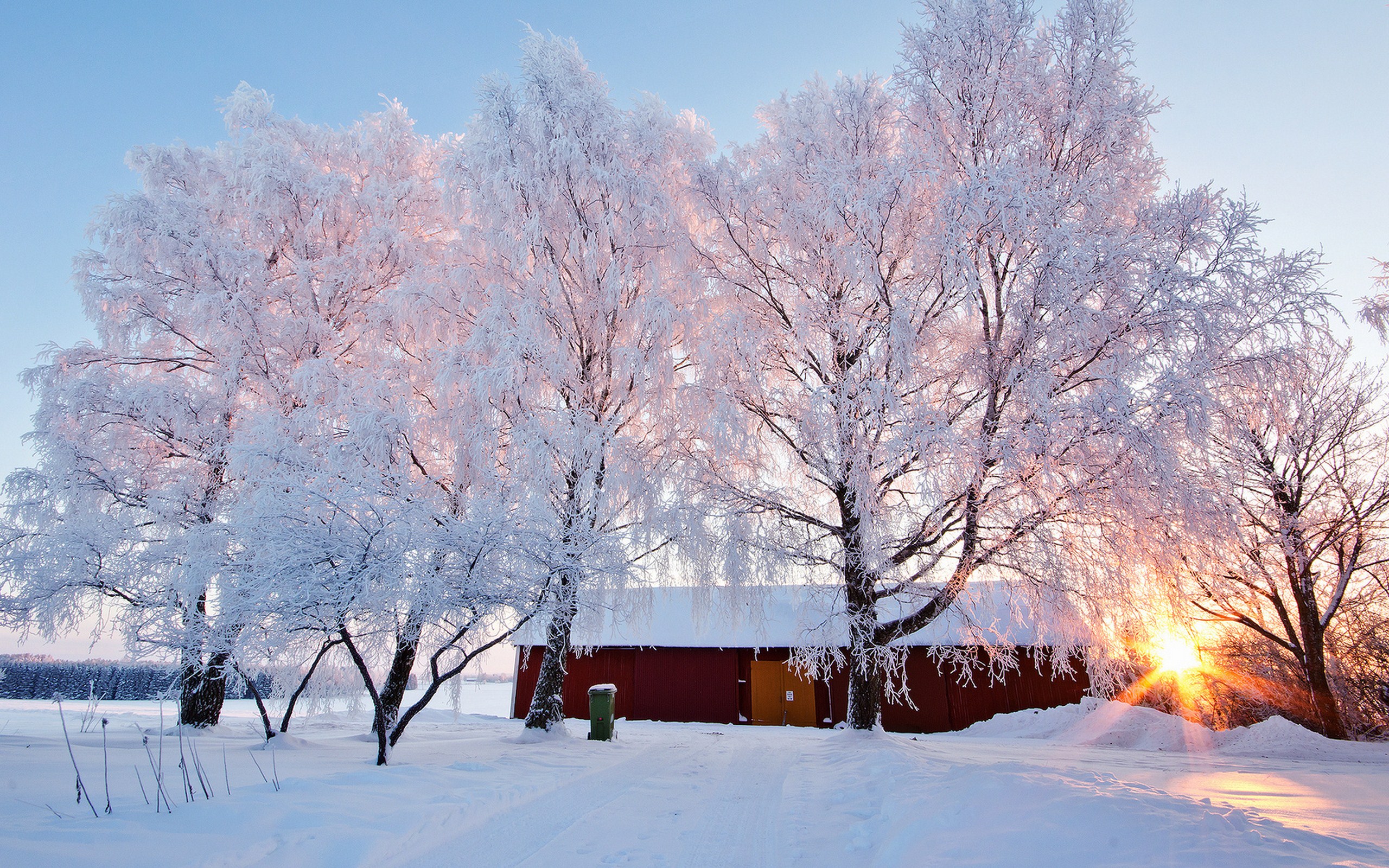 Зима красивые деревья. Иней на деревьях. Зимний пейзаж. Зимняя природа. Деревья в снегу.