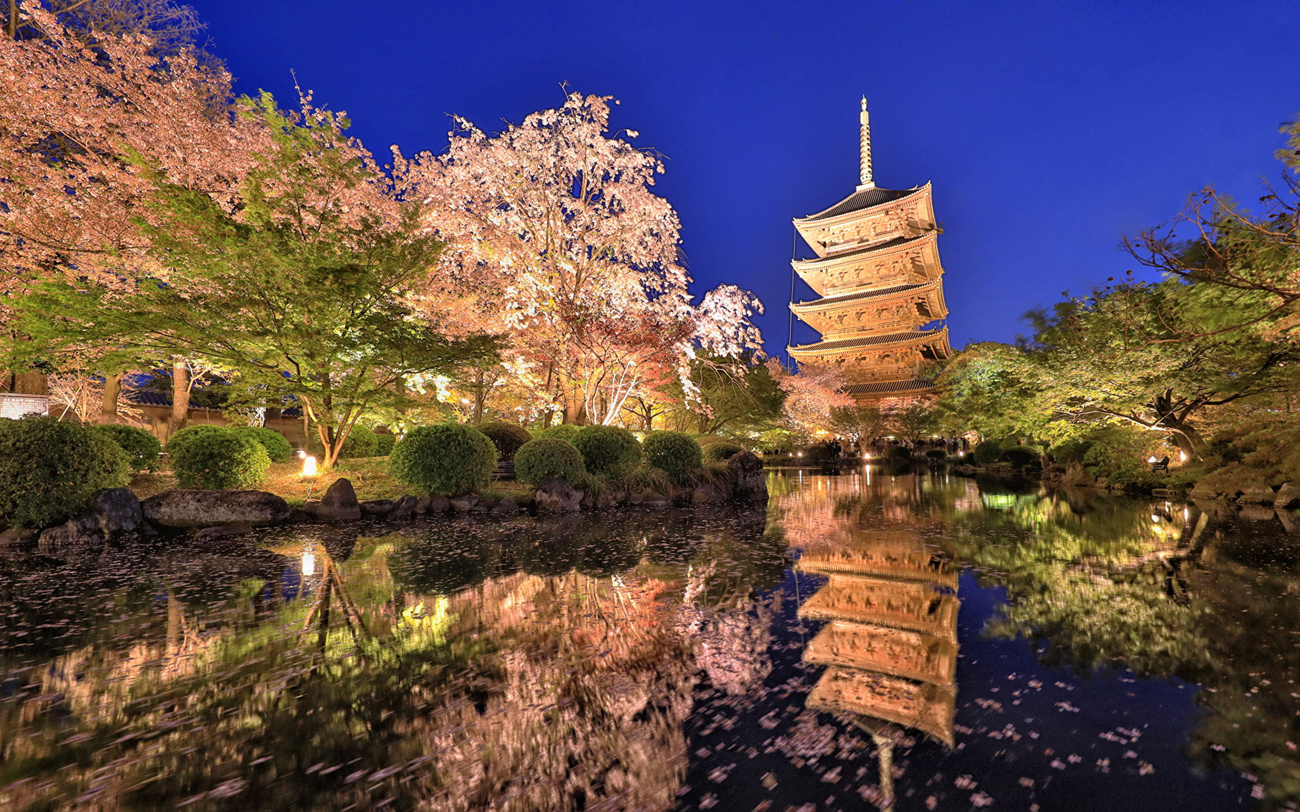 Japan 2. Токио (Tokyo), Япония природа. Киото Ханами. Япония природа Токио парк. Нагоя Япония природа.