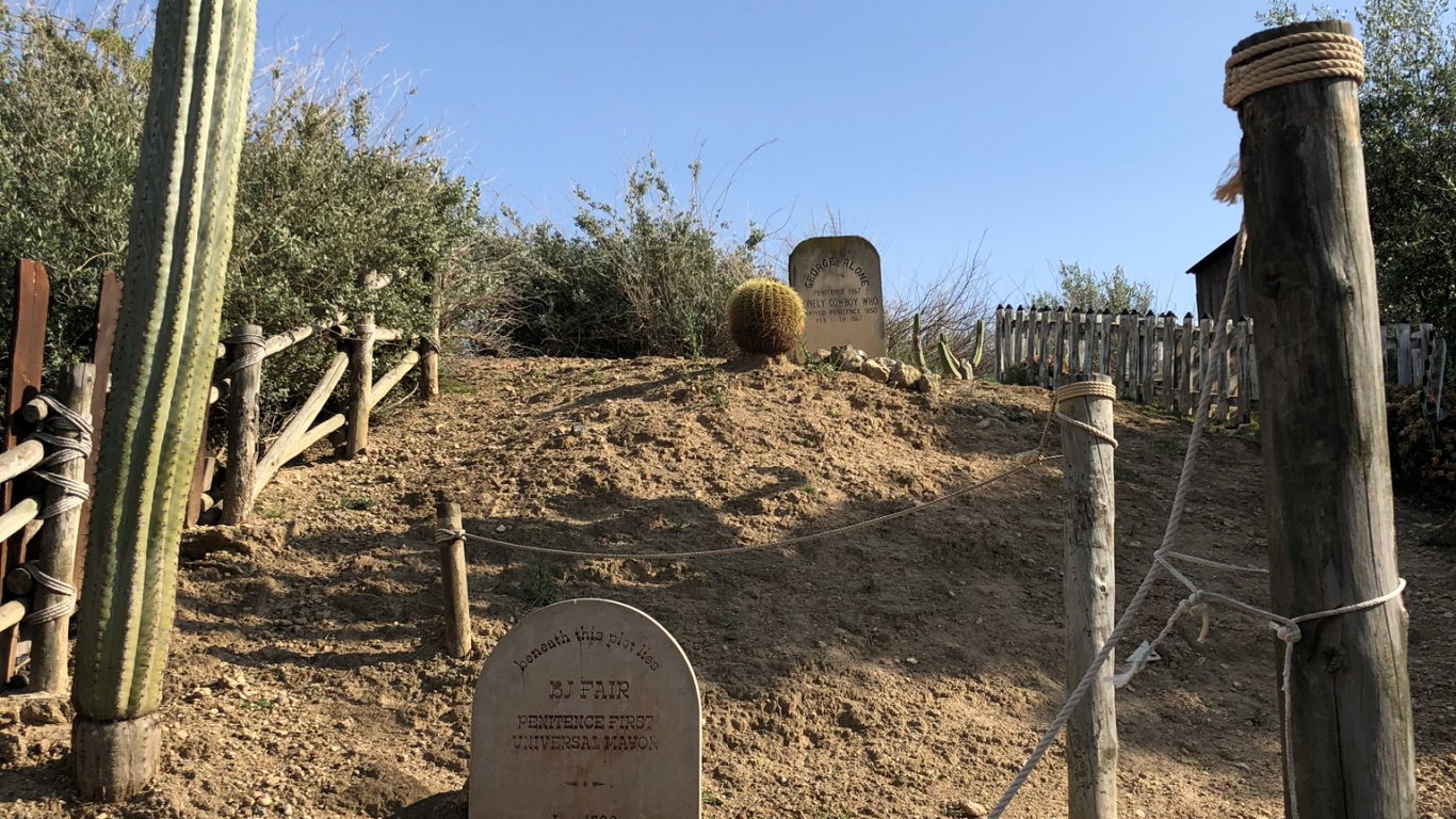 Обои кустарник, биология, наука, растительное сообщество, почва в разрешении 1366x768