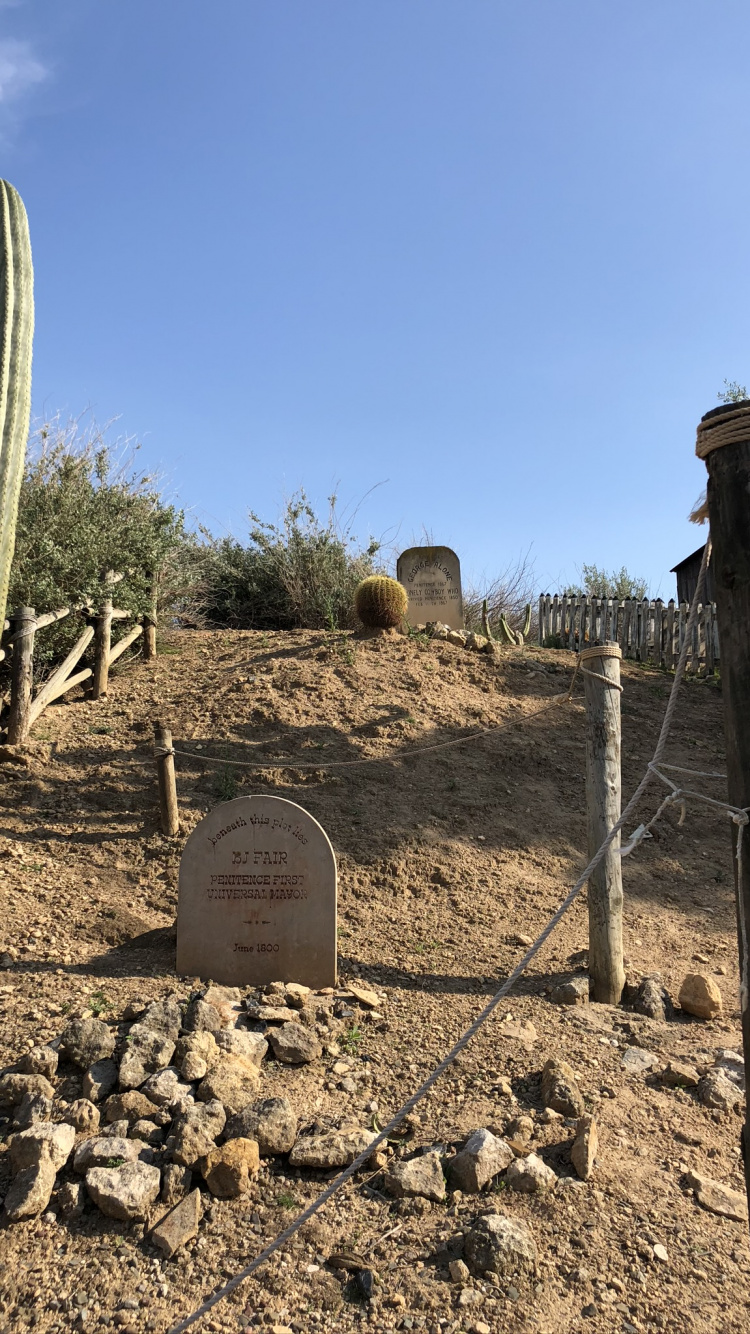 Обои кустарник, биология, наука, растительное сообщество, почва в разрешении 750x1334