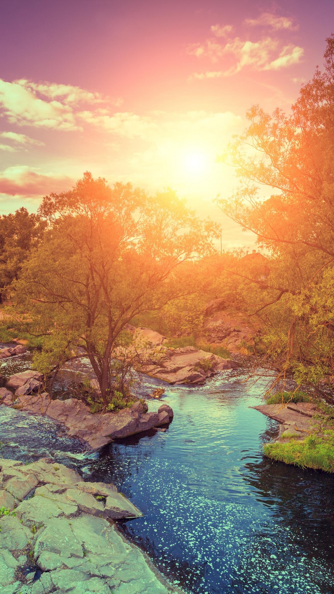 Обои закат, восход солнца, облако, вода, растение в разрешении 1080x1920