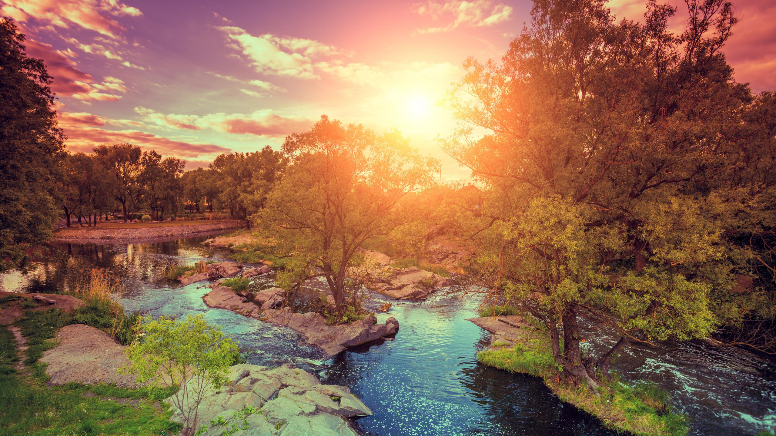 Обои закат, восход солнца, облако, вода, растение в разрешении 2560x1440