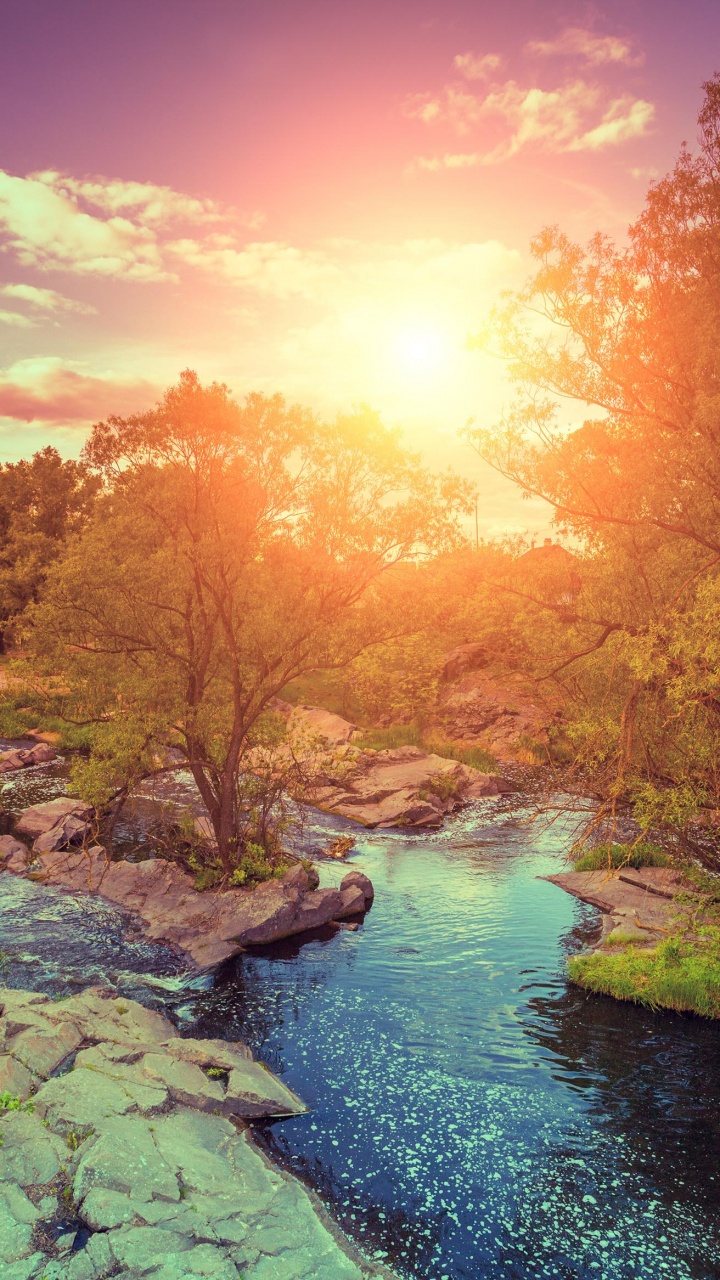 Обои закат, восход солнца, облако, вода, растение в разрешении 720x1280