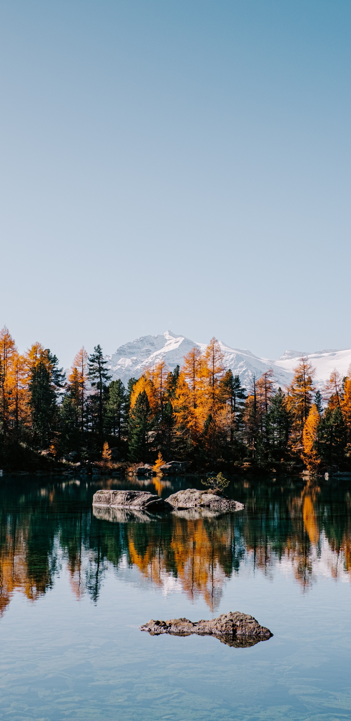 Обои озеро, отражение, природный ландшафт, природа, вода в разрешении 1440x2960