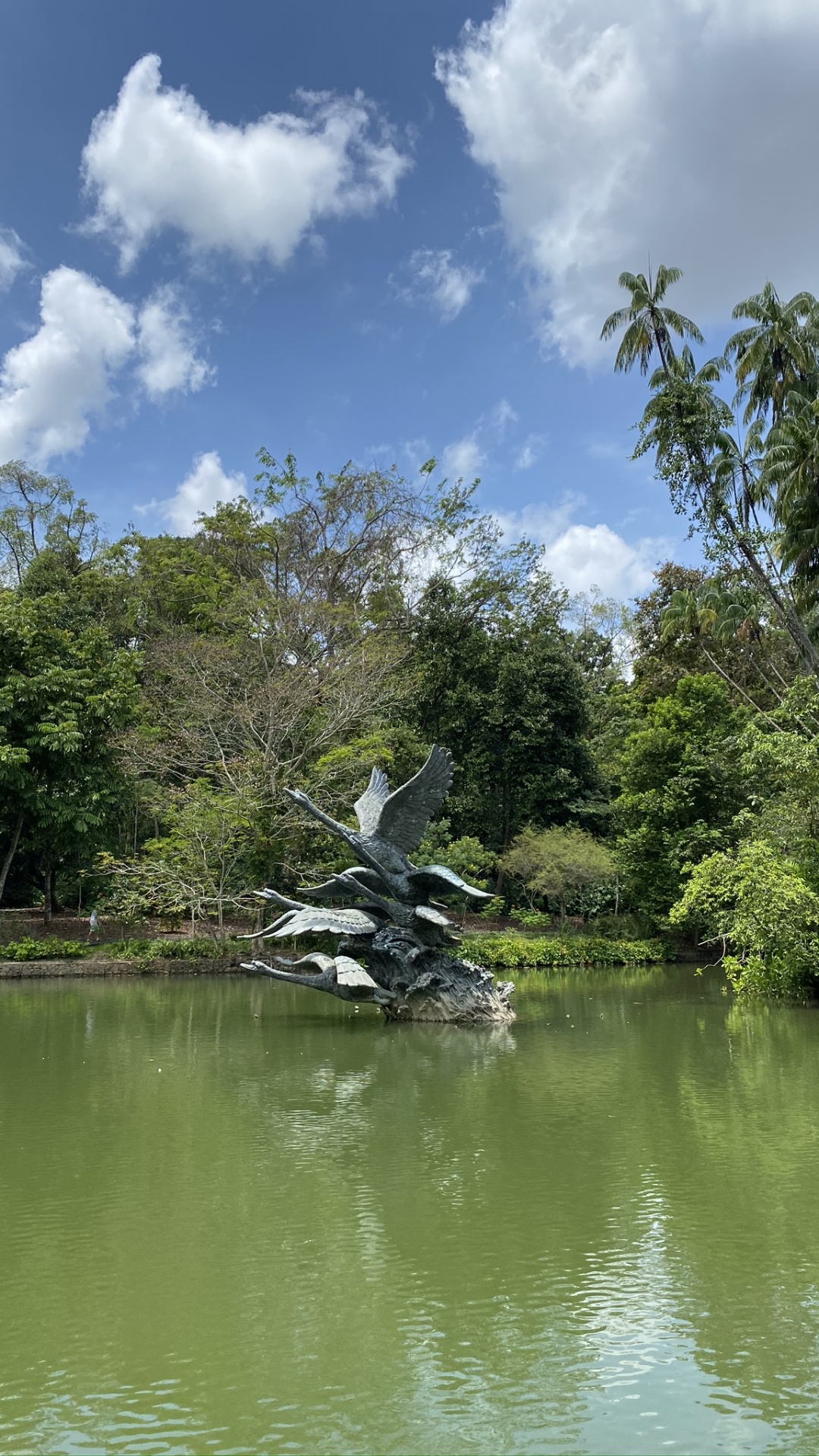 Обои природа, растительность, облако, гидроресурсы, природный ландшафт в разрешении 1080x1920