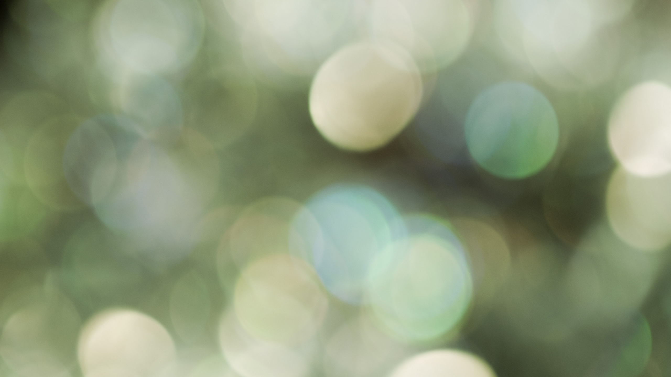 Обои боке, блик, зеленый, вода, наложение текстуры в разрешении 2560x1440