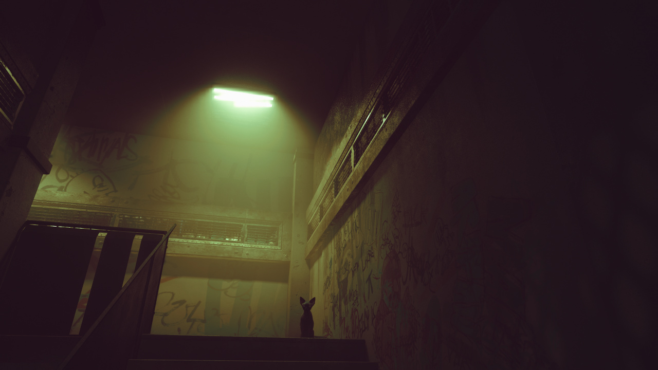 Обои темнота, ночь, свет, полутона и оттенки, дымка в разрешении 1280x720