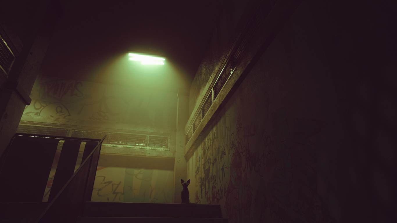 Обои темнота, ночь, свет, полутона и оттенки, дымка в разрешении 1366x768