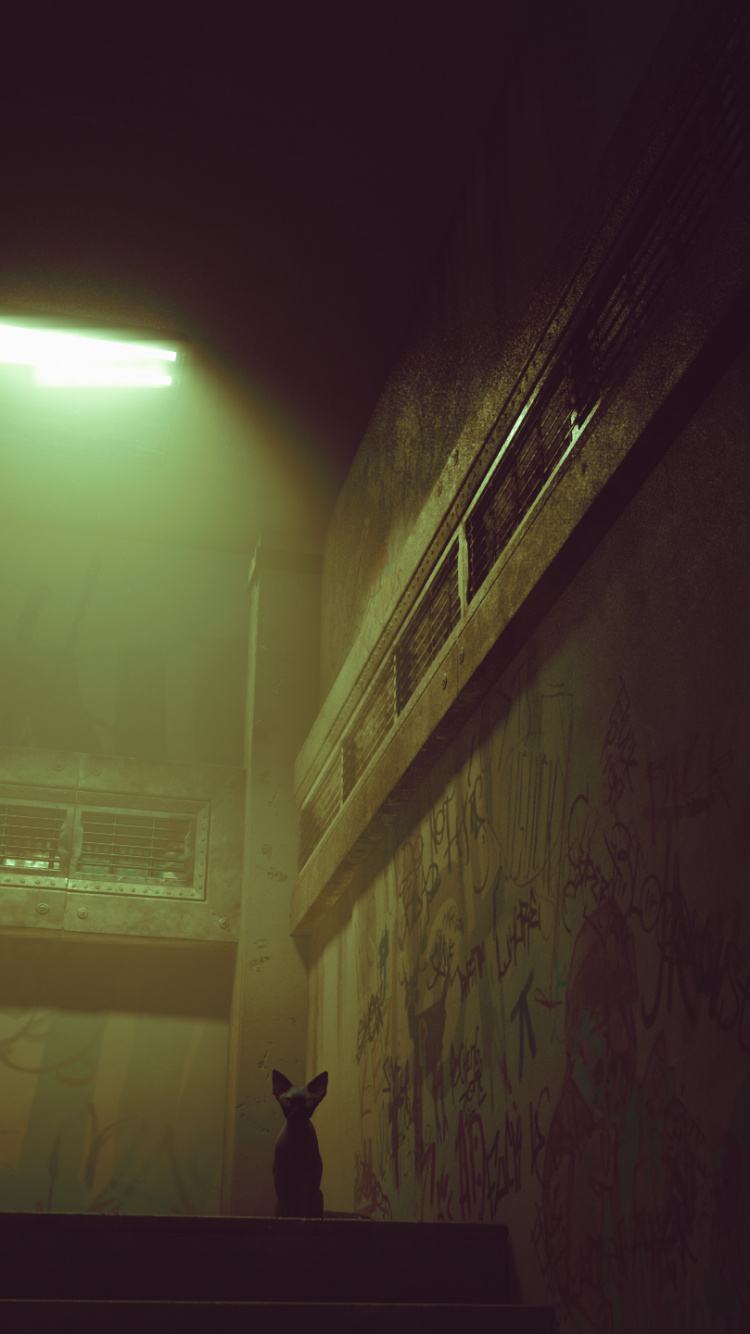 Обои темнота, ночь, свет, полутона и оттенки, дымка в разрешении 750x1334