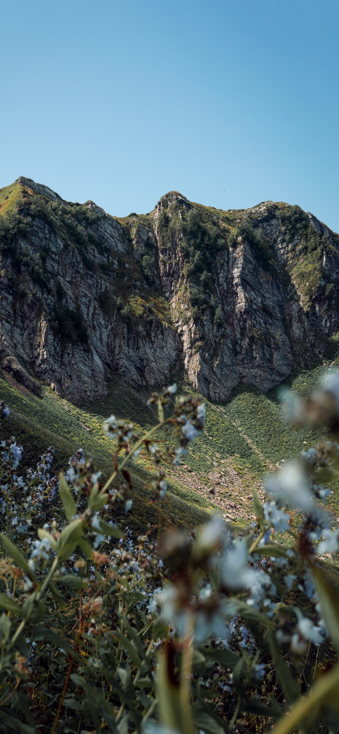 Обои горный рельеф, геология, гора, местность, обнажение в разрешении 1125x2436