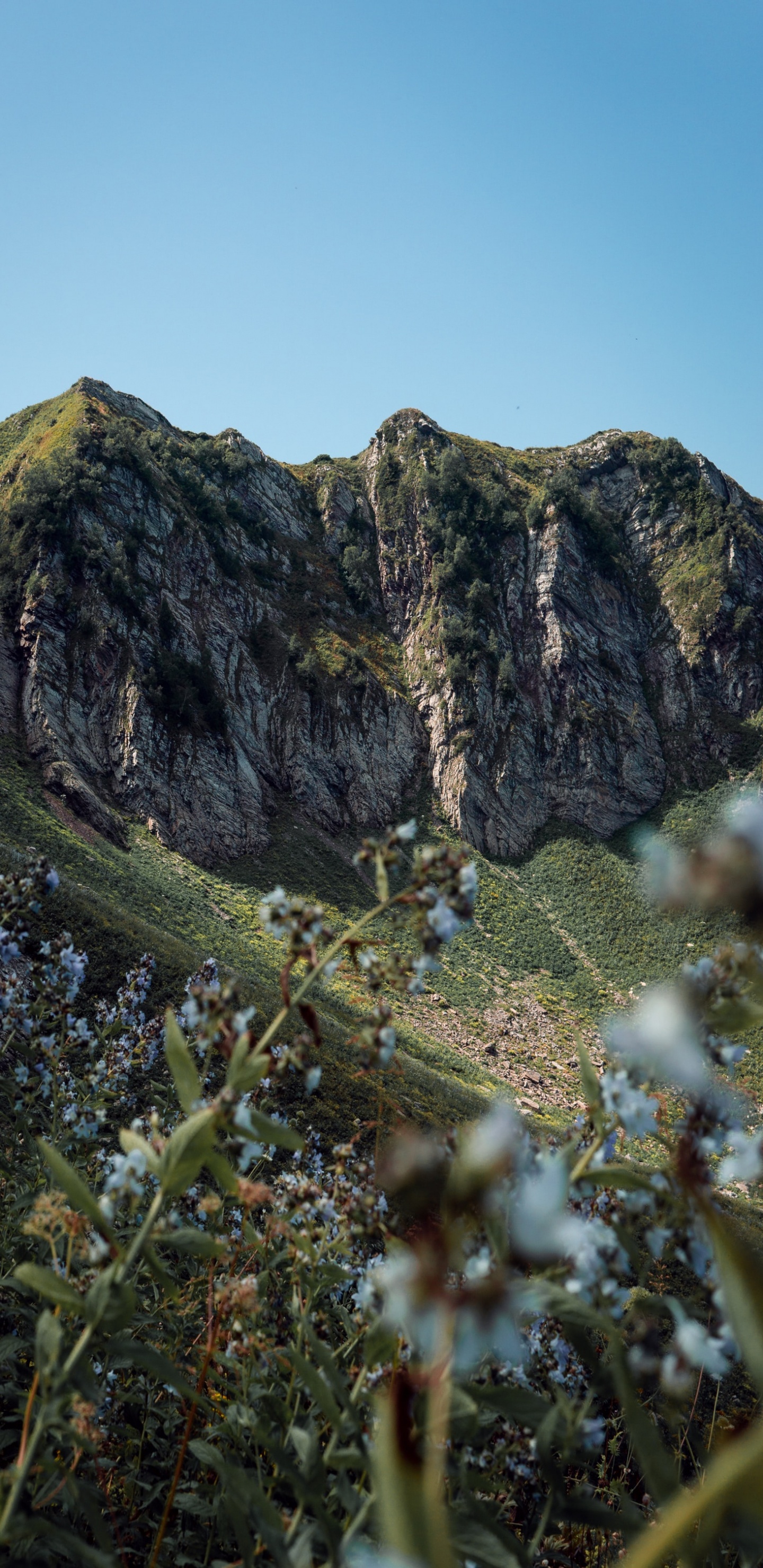 Обои горный рельеф, геология, гора, местность, обнажение в разрешении 1440x2960