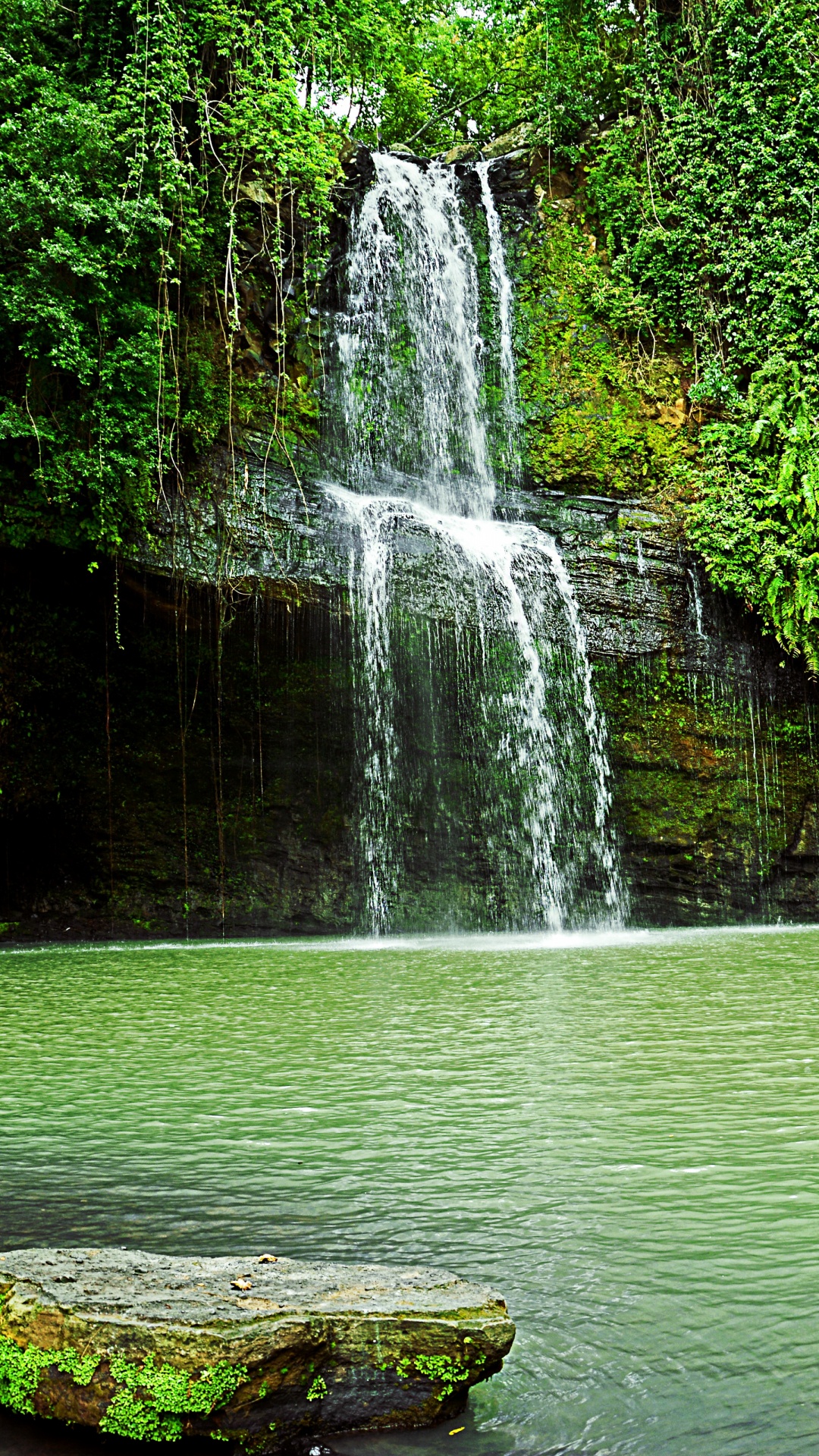 Обои водопад, гидроресурсы, водоем, природа, зеленый в разрешении 1080x1920