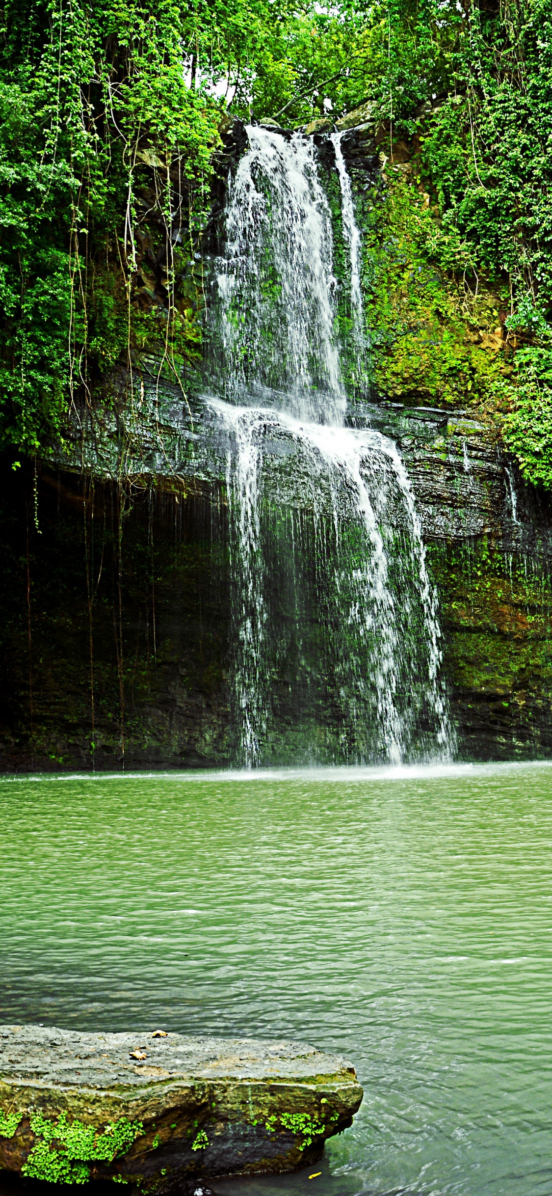 Обои водопад, гидроресурсы, водоем, природа, зеленый в разрешении 1125x2436