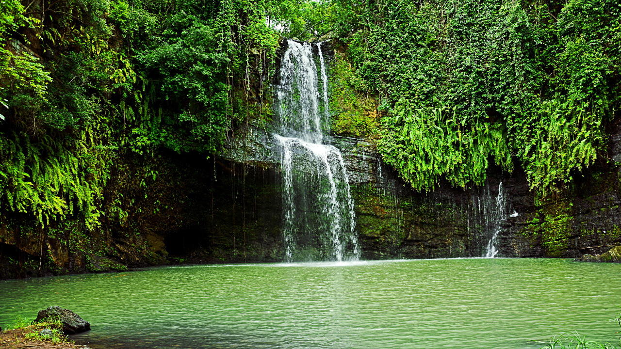 Обои водопад, гидроресурсы, водоем, природа, зеленый в разрешении 1280x720