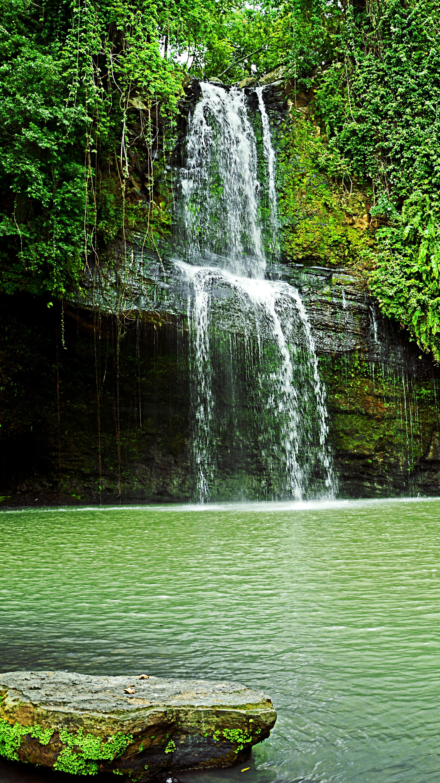 Обои водопад, гидроресурсы, водоем, природа, зеленый в разрешении 1440x2560